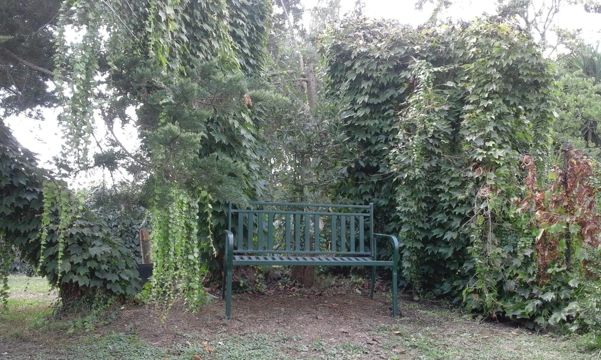Garden in Poderi di Tragliatella