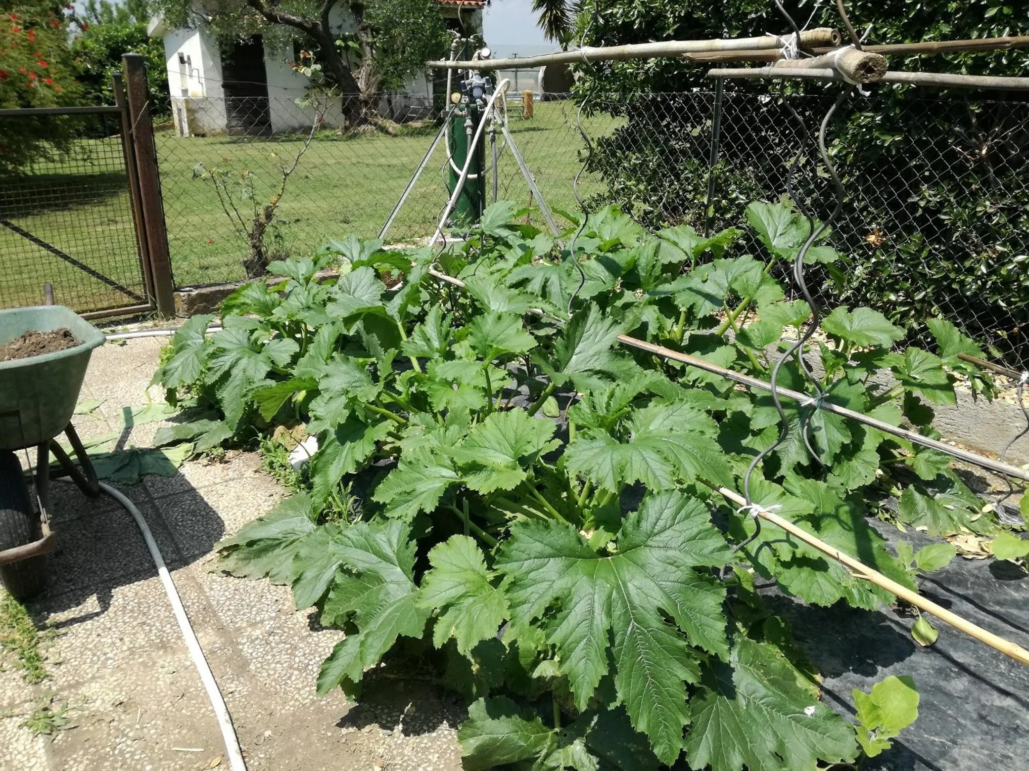 Activities in Poderi di Tragliatella