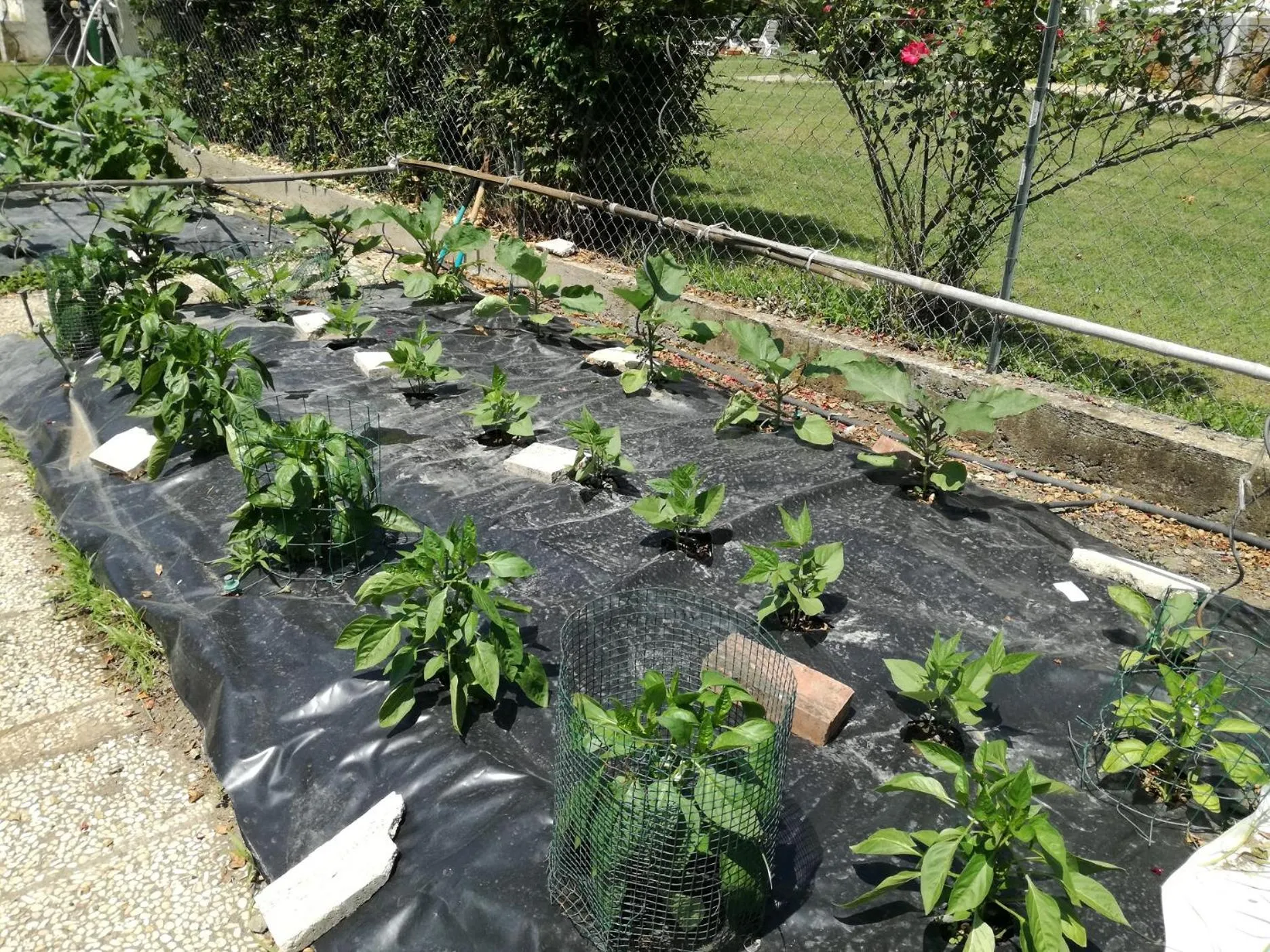 Activities in Poderi di Tragliatella