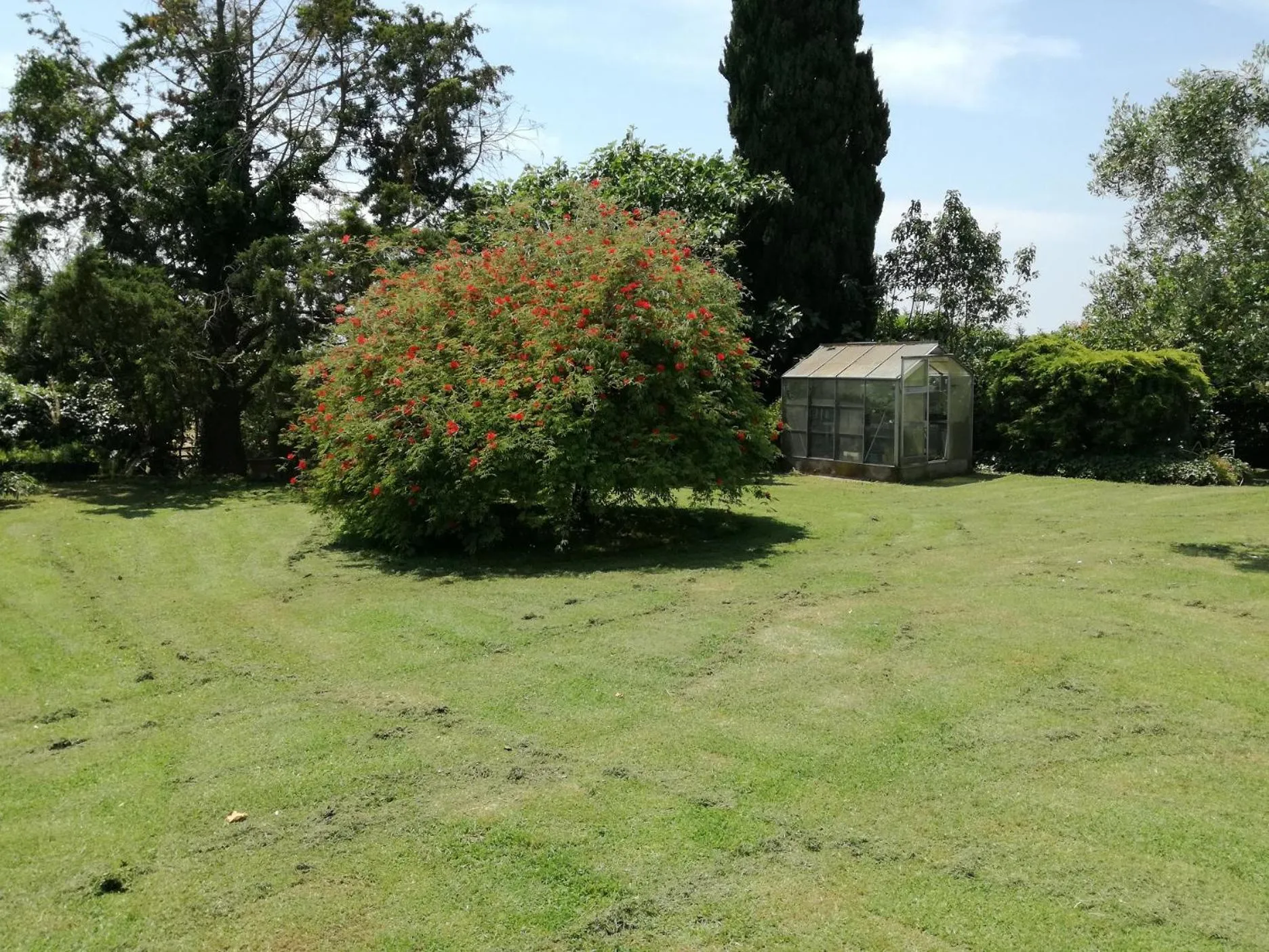 Garden in Poderi di Tragliatella