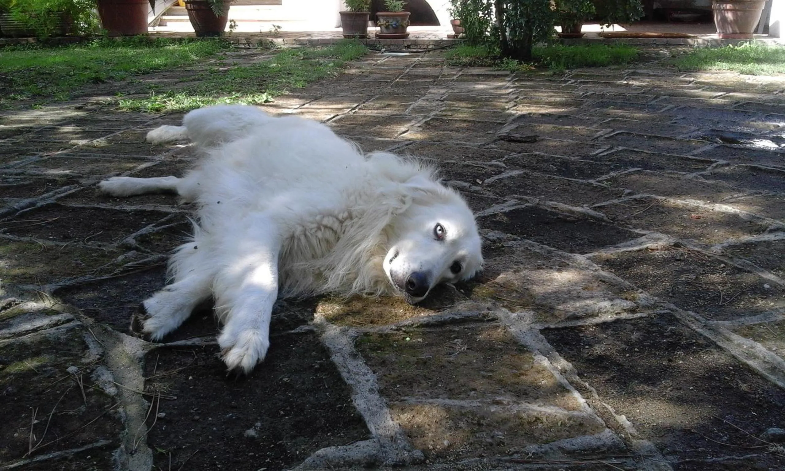 Staff in Poderi di Tragliatella