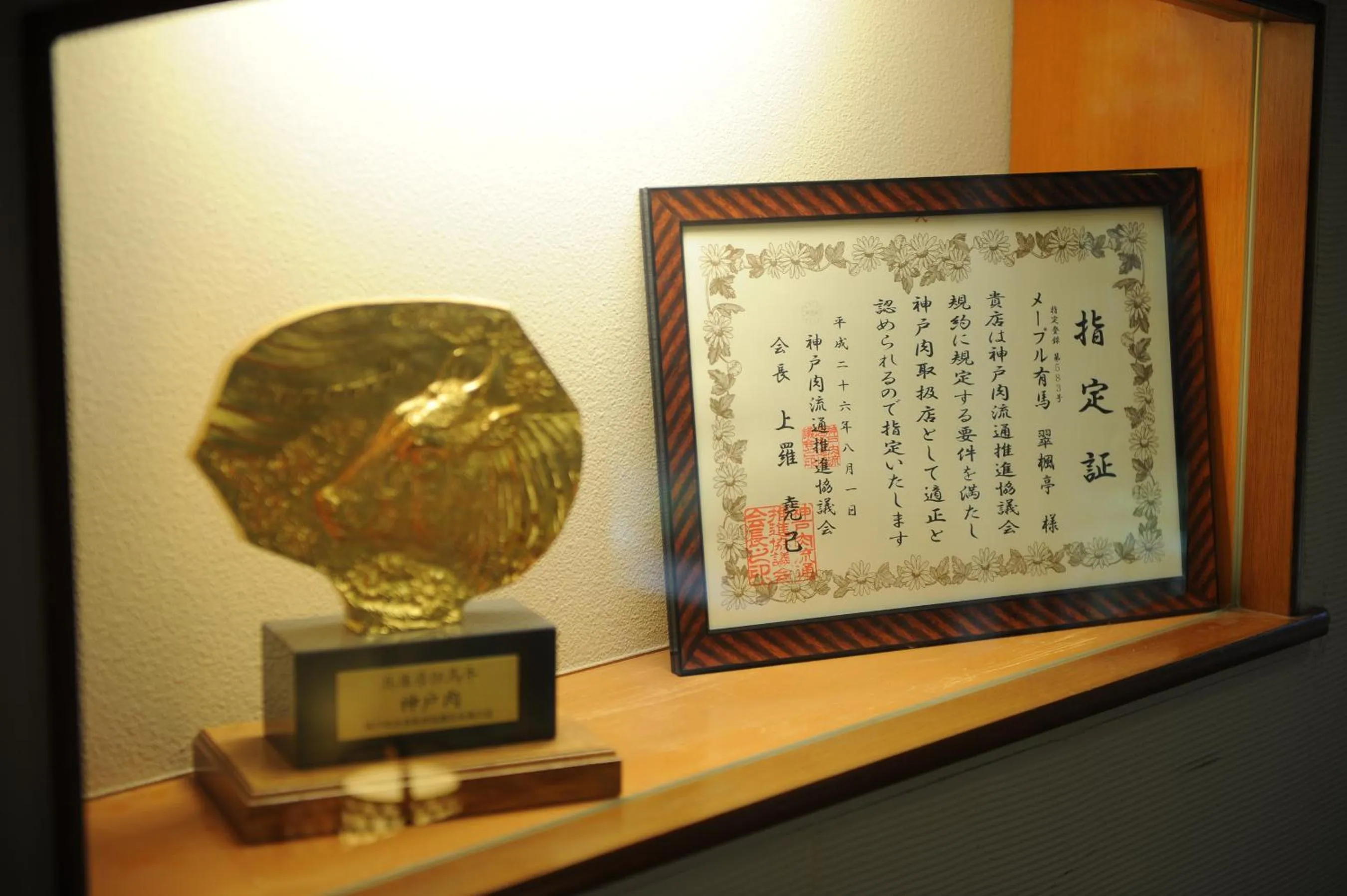 Certificate/Award in Maple Arima