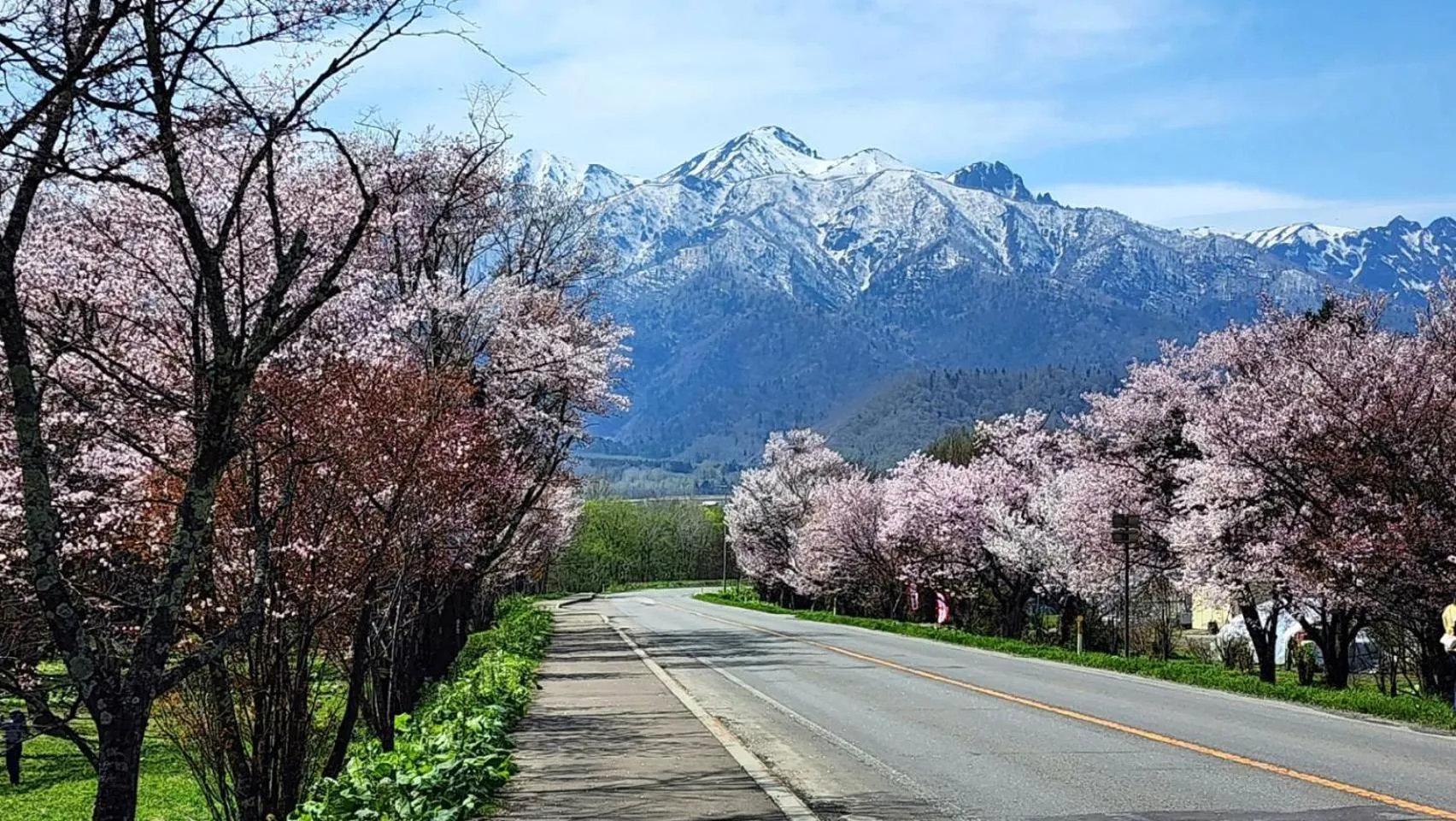 Nearby landmark in Hotel Edel Warme