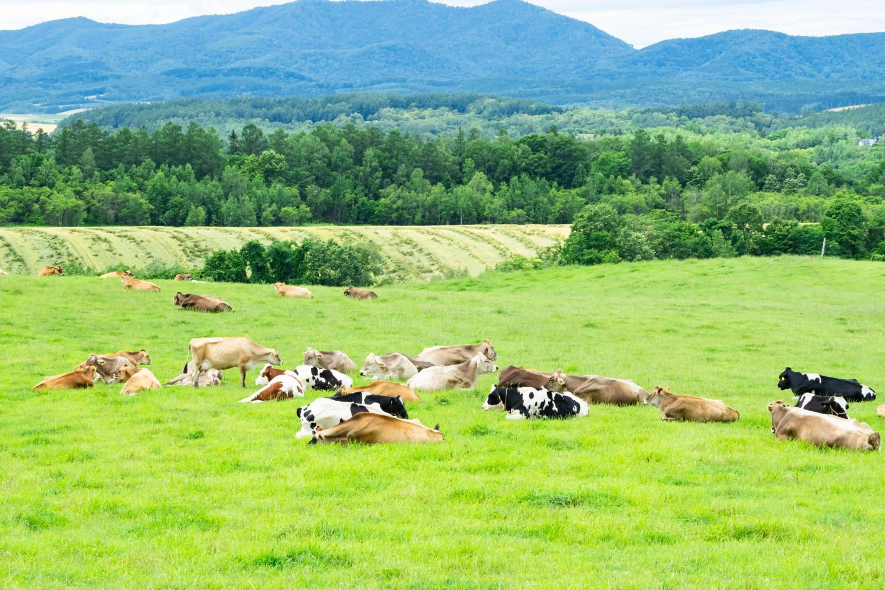Natural landscape in Hotel Edel Warme