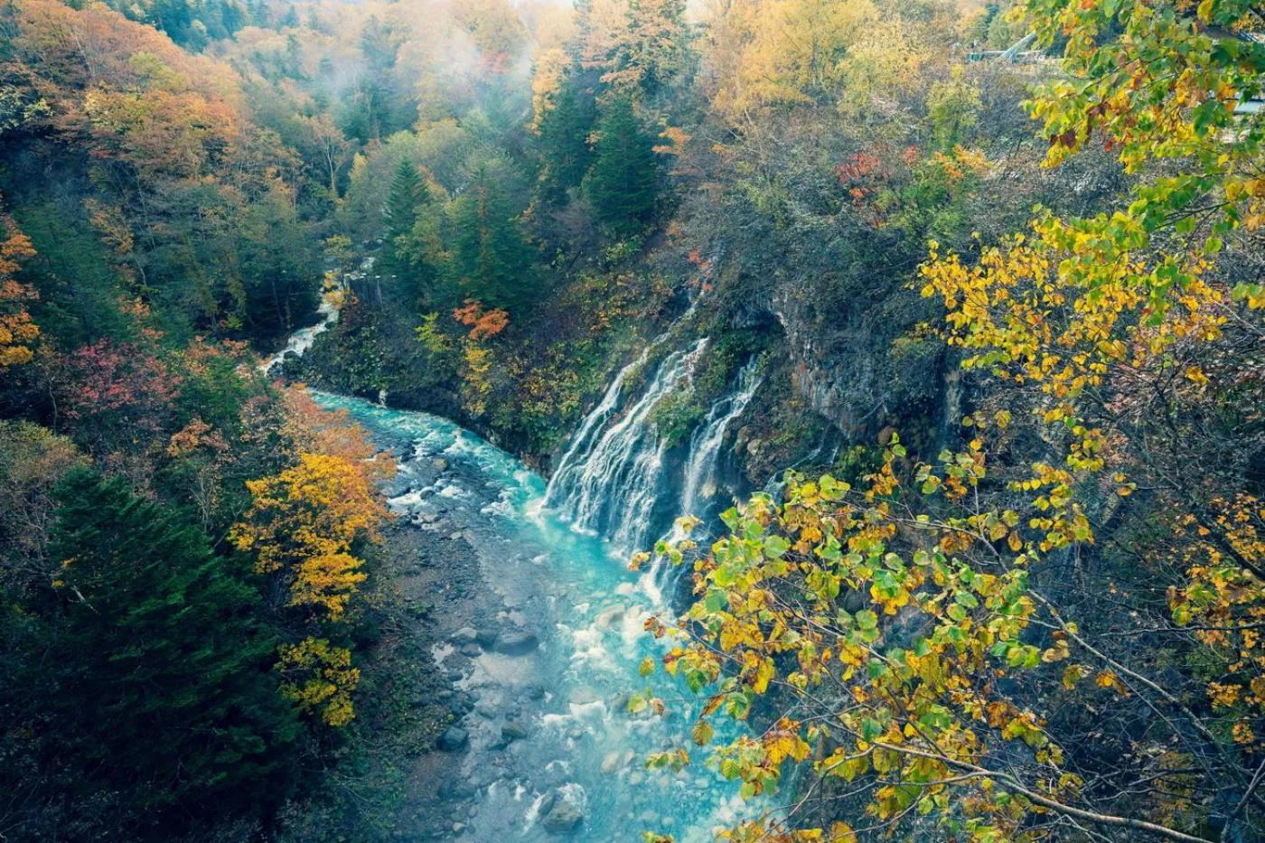 Natural landscape in Hotel Edel Warme