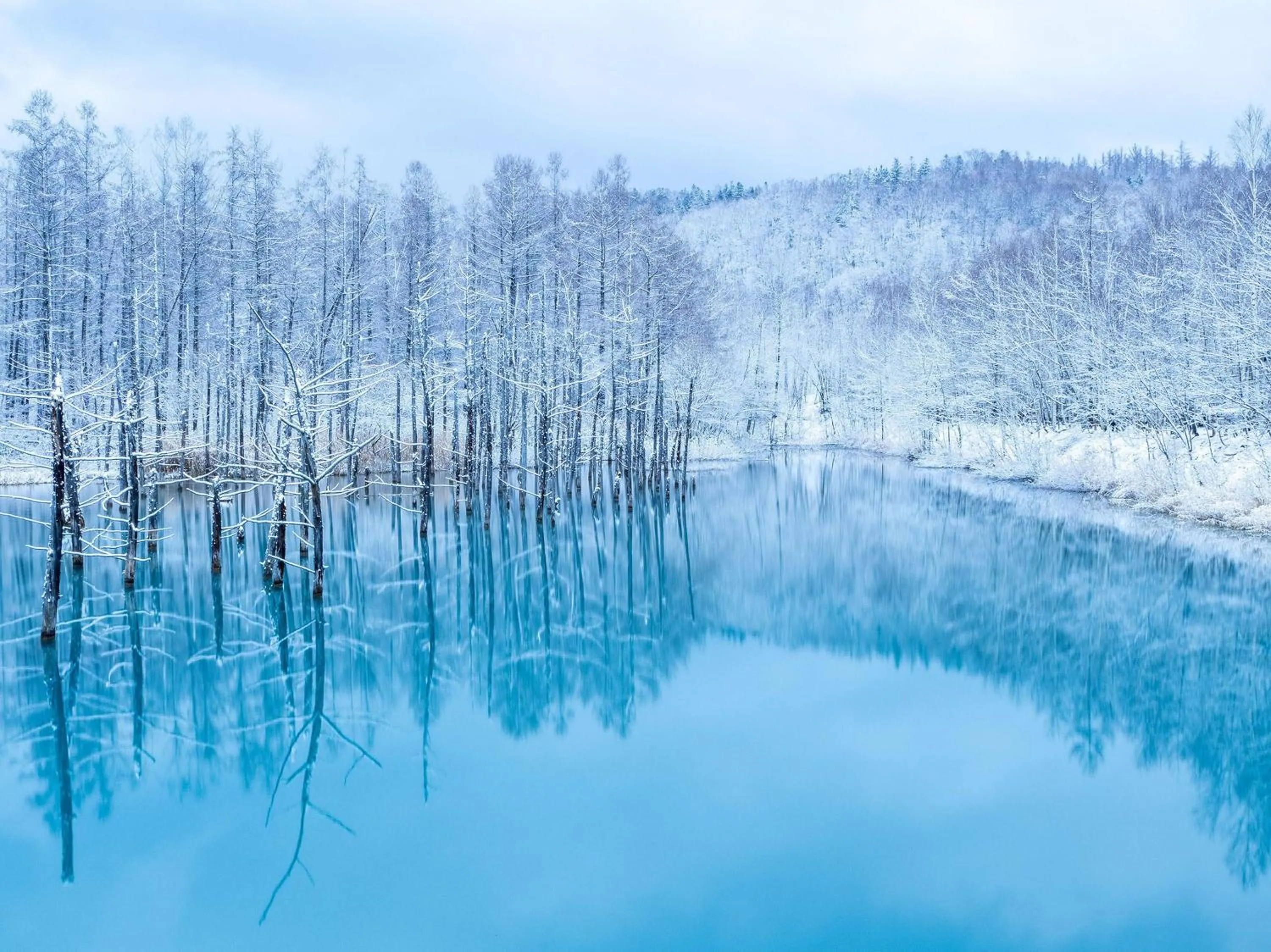 Natural landscape in Hotel Edel Warme