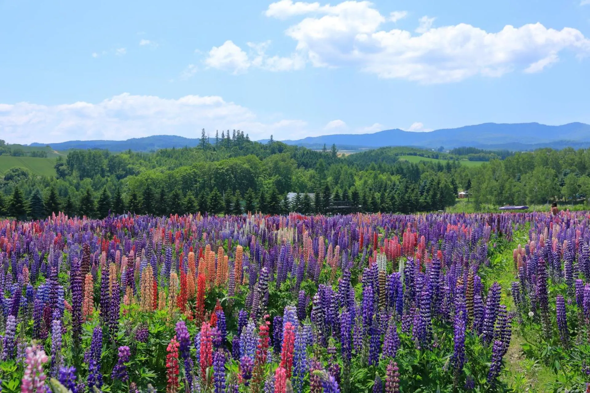 Nearby landmark in Hotel Edel Warme