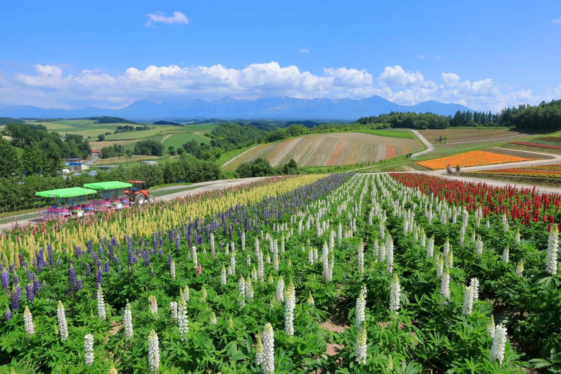 Nearby landmark in Hotel Edel Warme