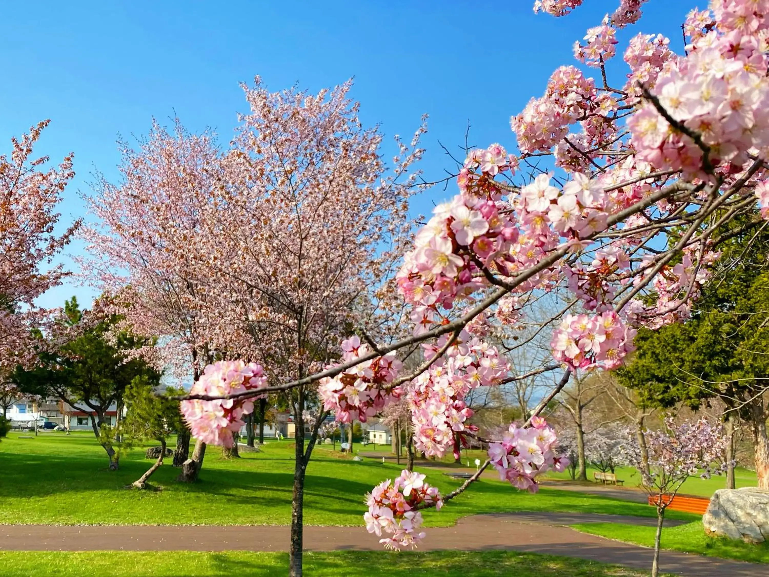 Property building in Hotel Edel Warme Property building in Hotel Edel Warme