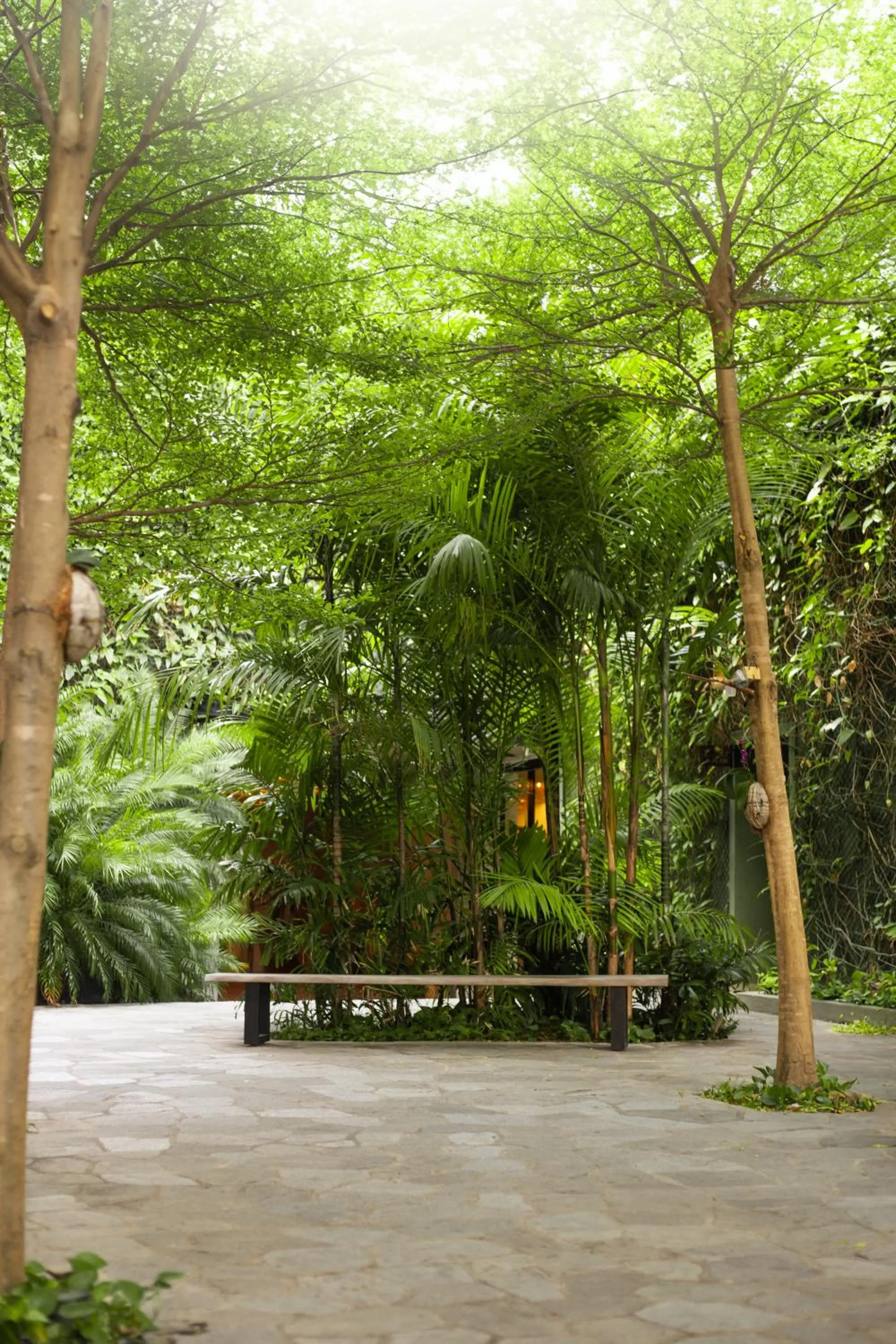 Spring in Pauli Boutique Hotel