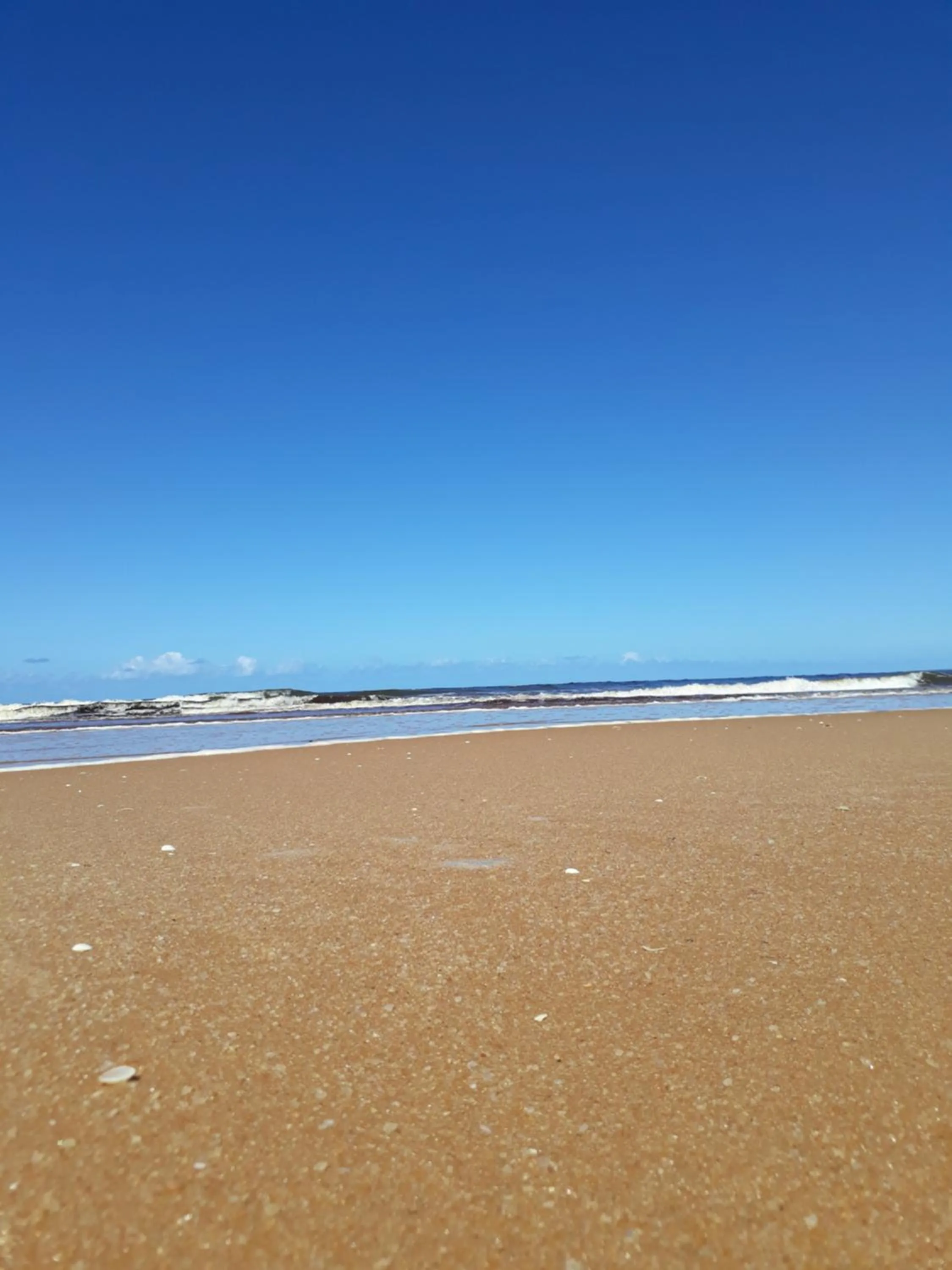 Natural landscape in Pousada Corais Do Sul