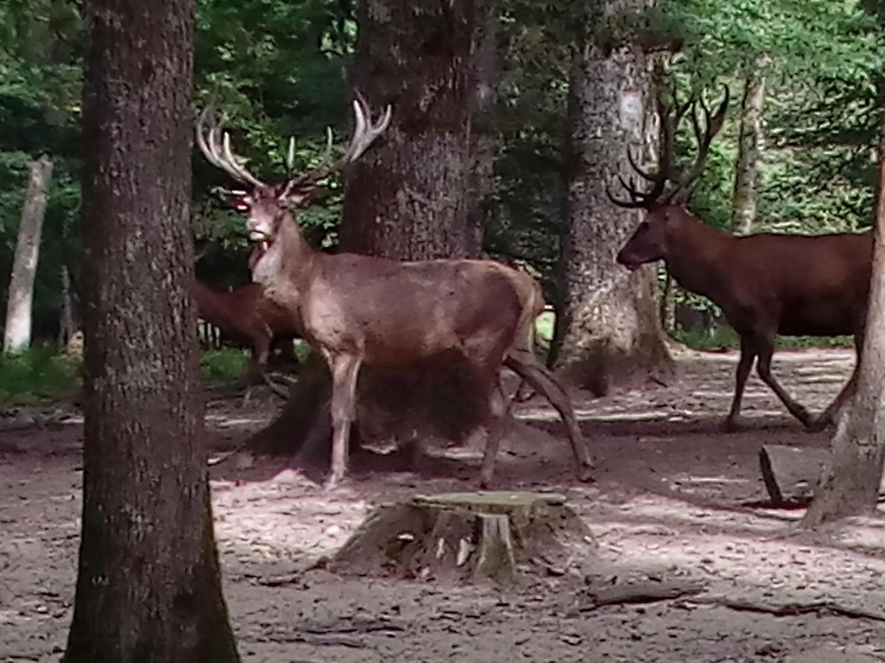 Off site in La Treille