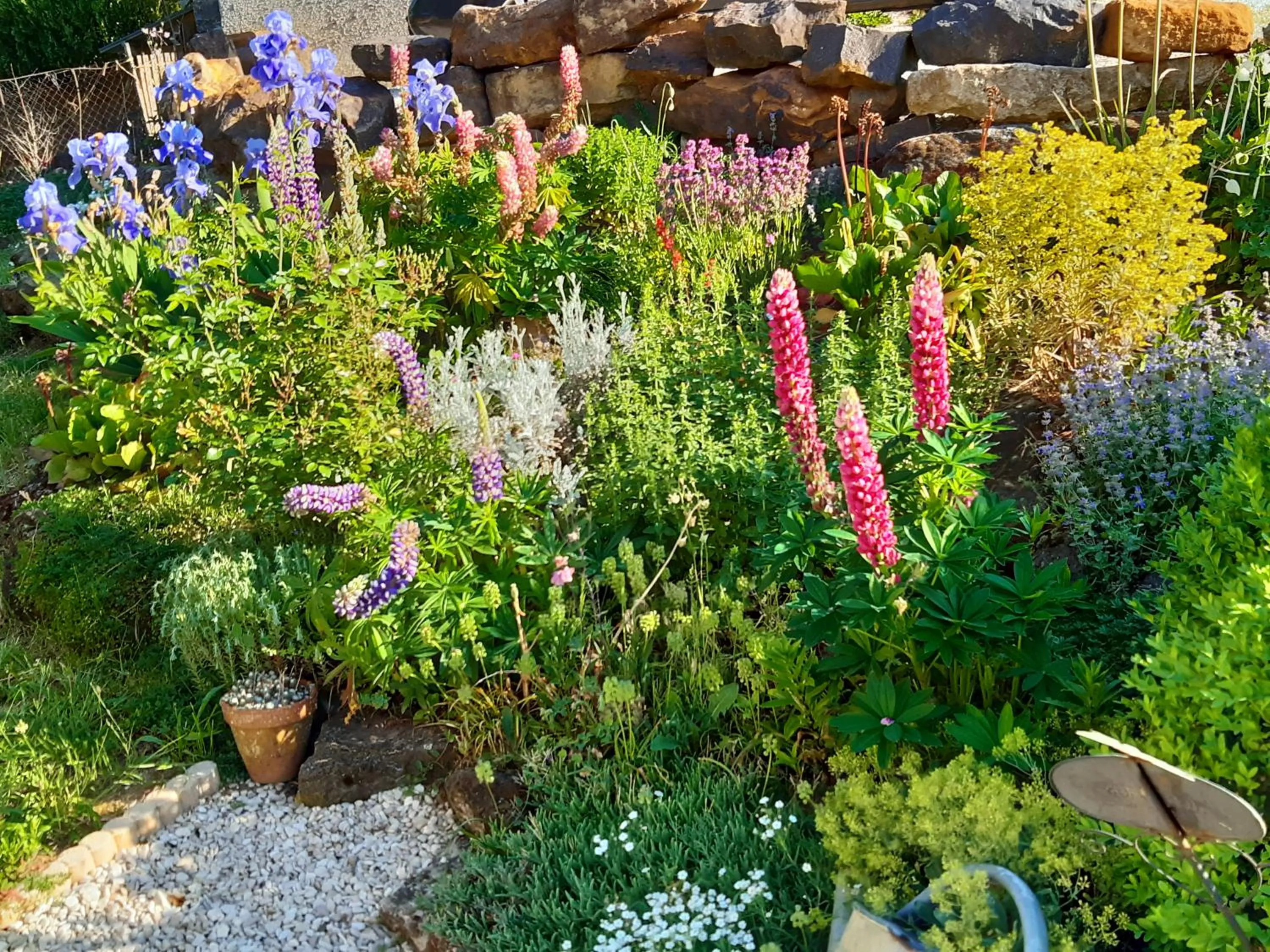 Garden in La Treille