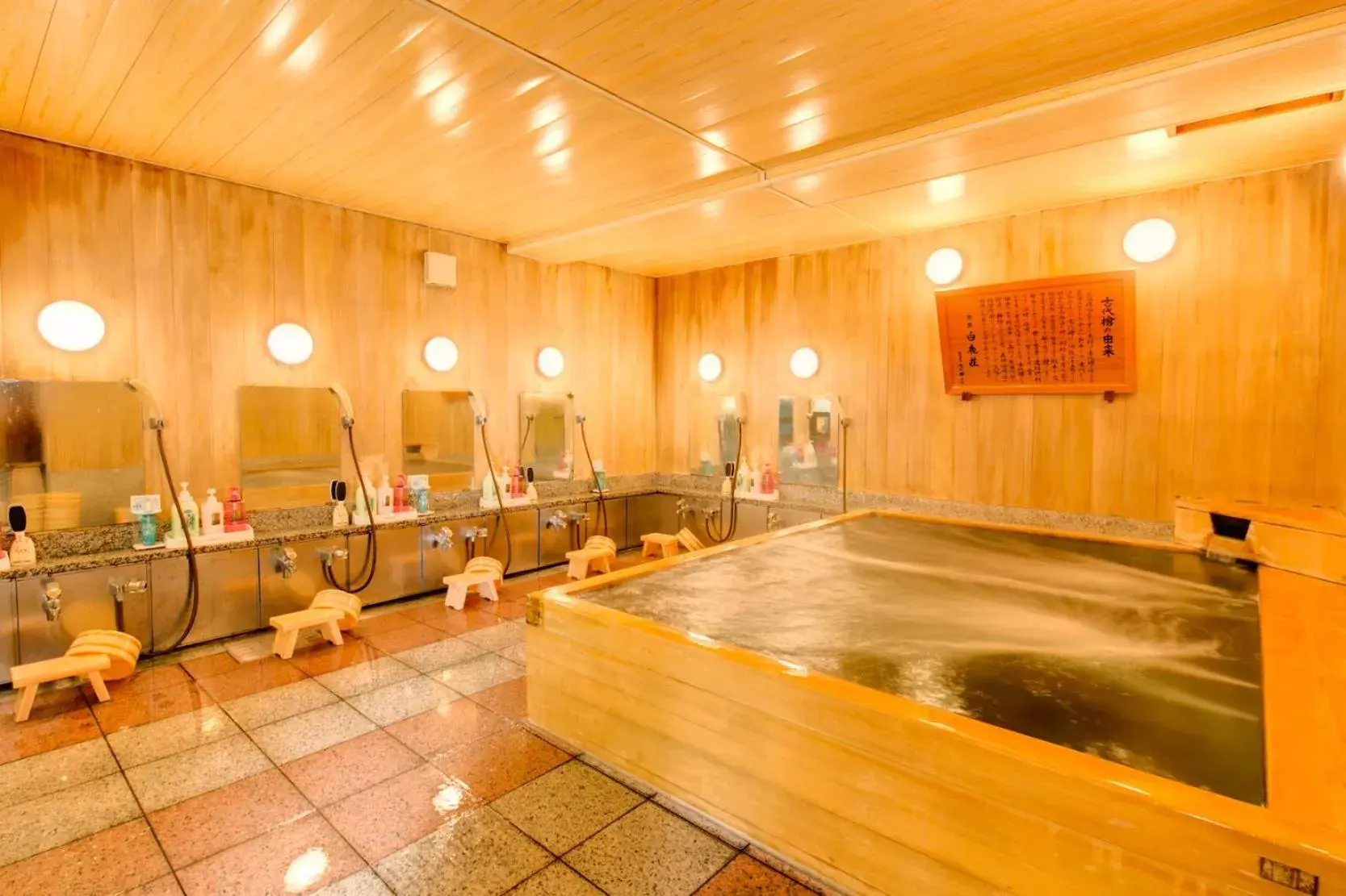 Twin Room - single occupancy in Nara Hakushikaso Twin Room - single occupancy in Nara Hakushikaso