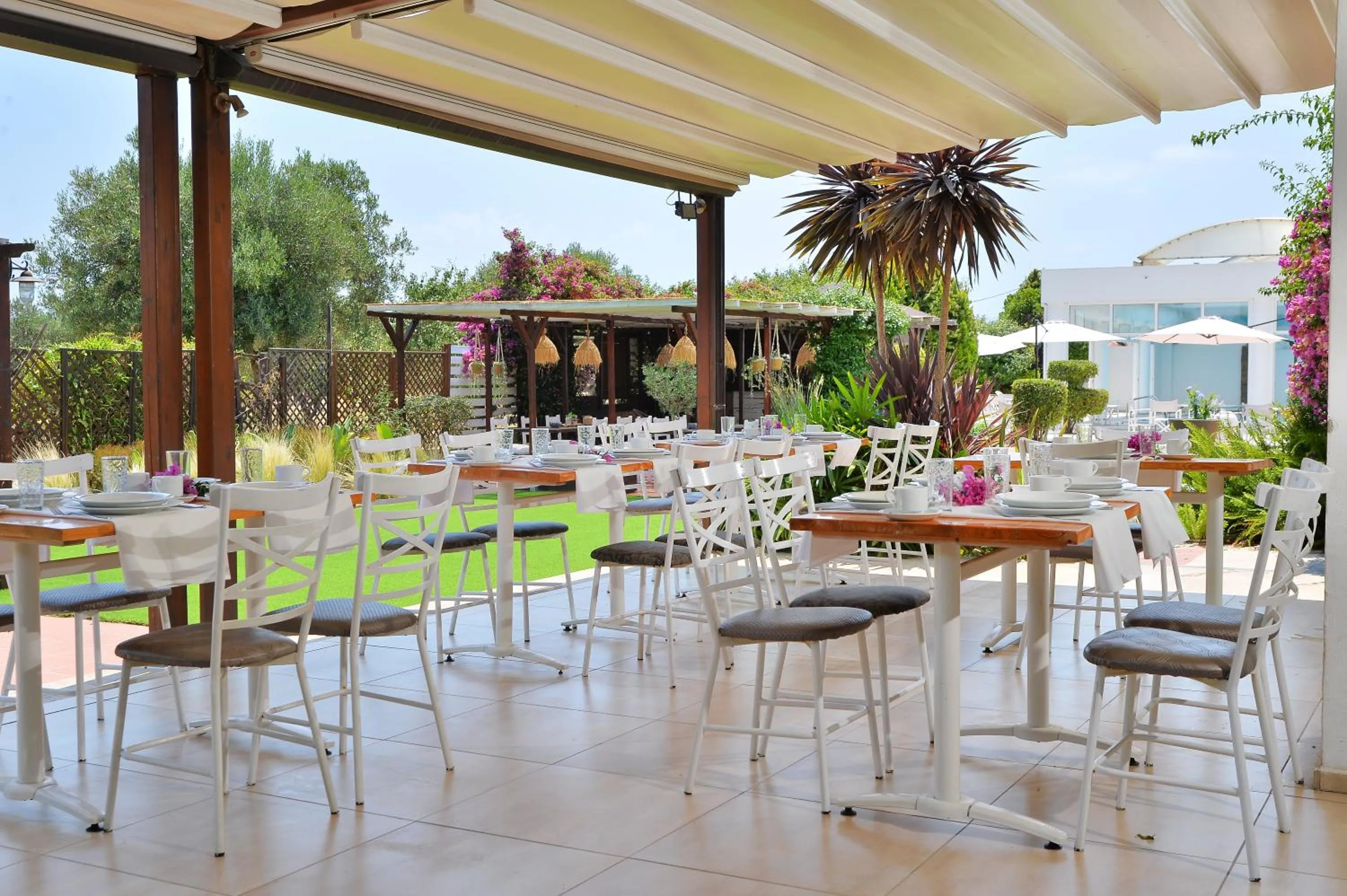 Garden in Hotel Kalloni