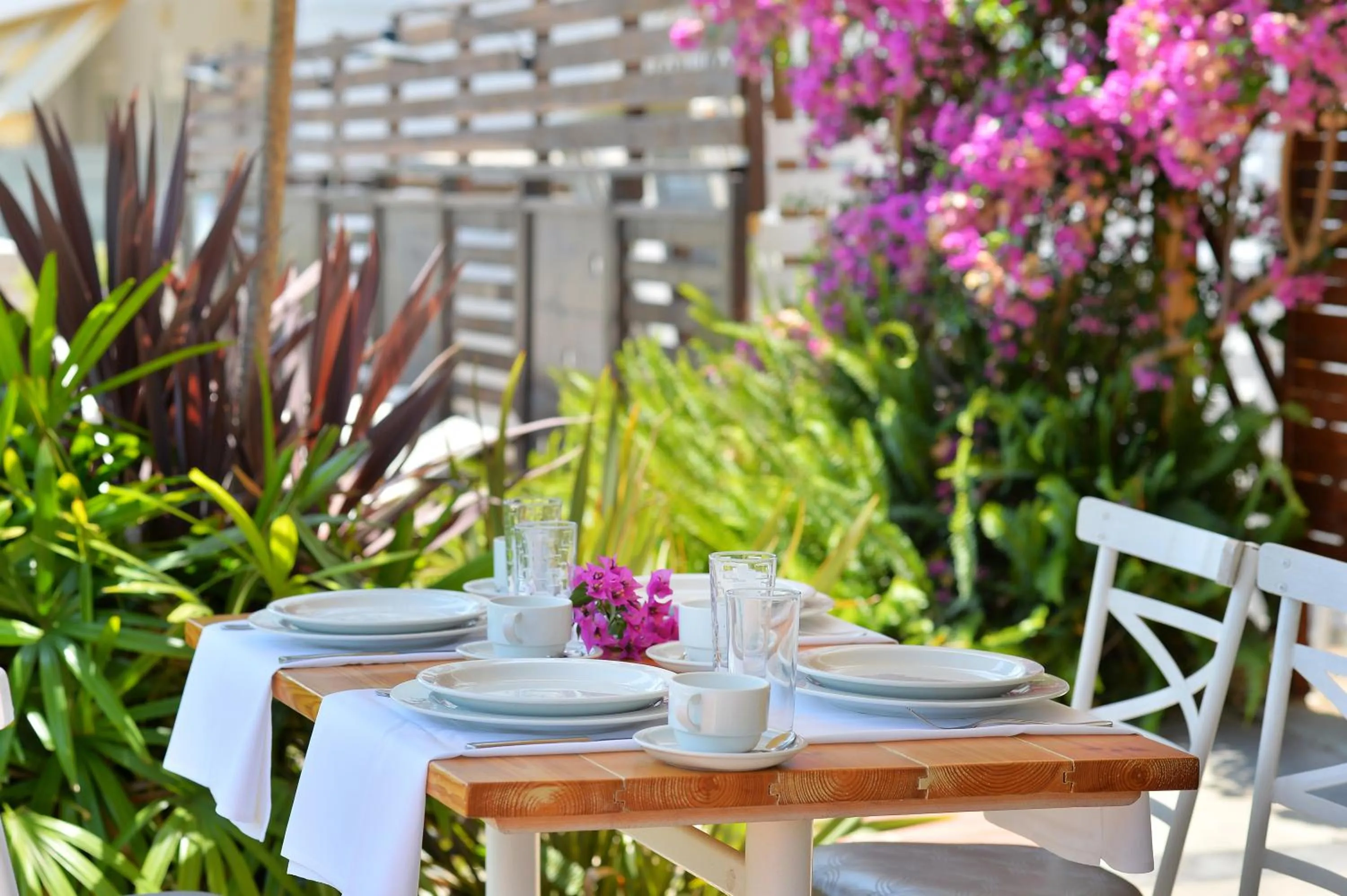 Garden in Hotel Kalloni