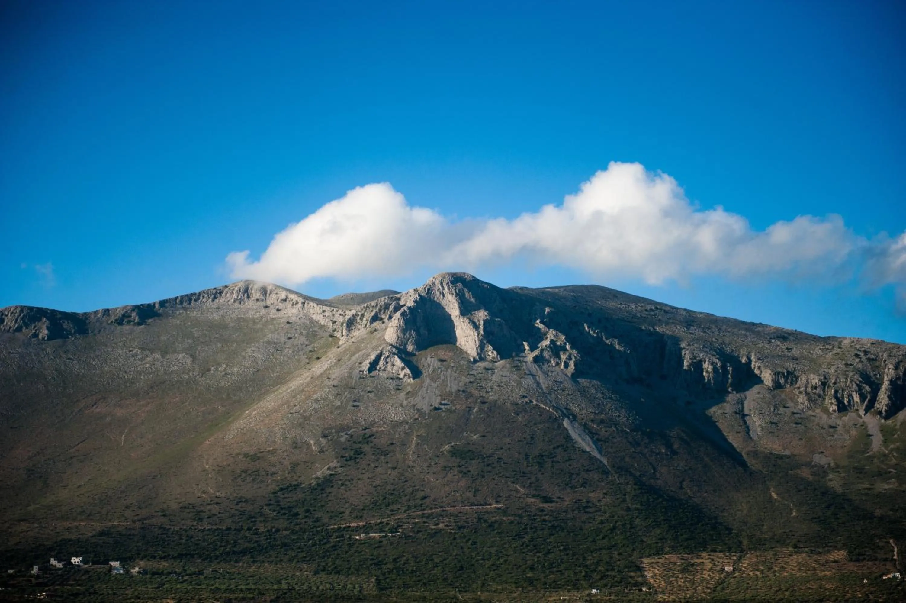 Area and facilities in Pandora