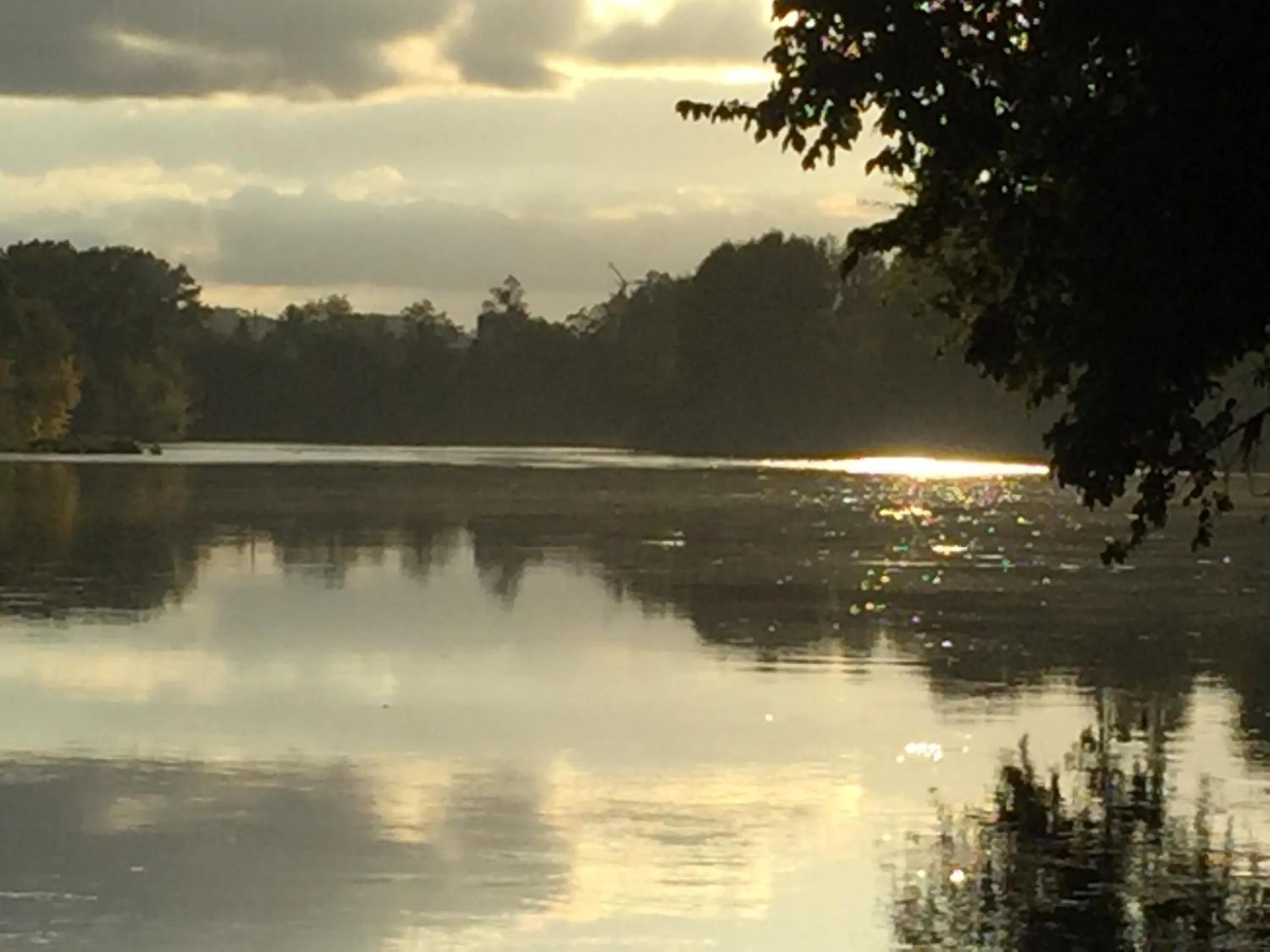 Natural landscape in Domaine des Monges