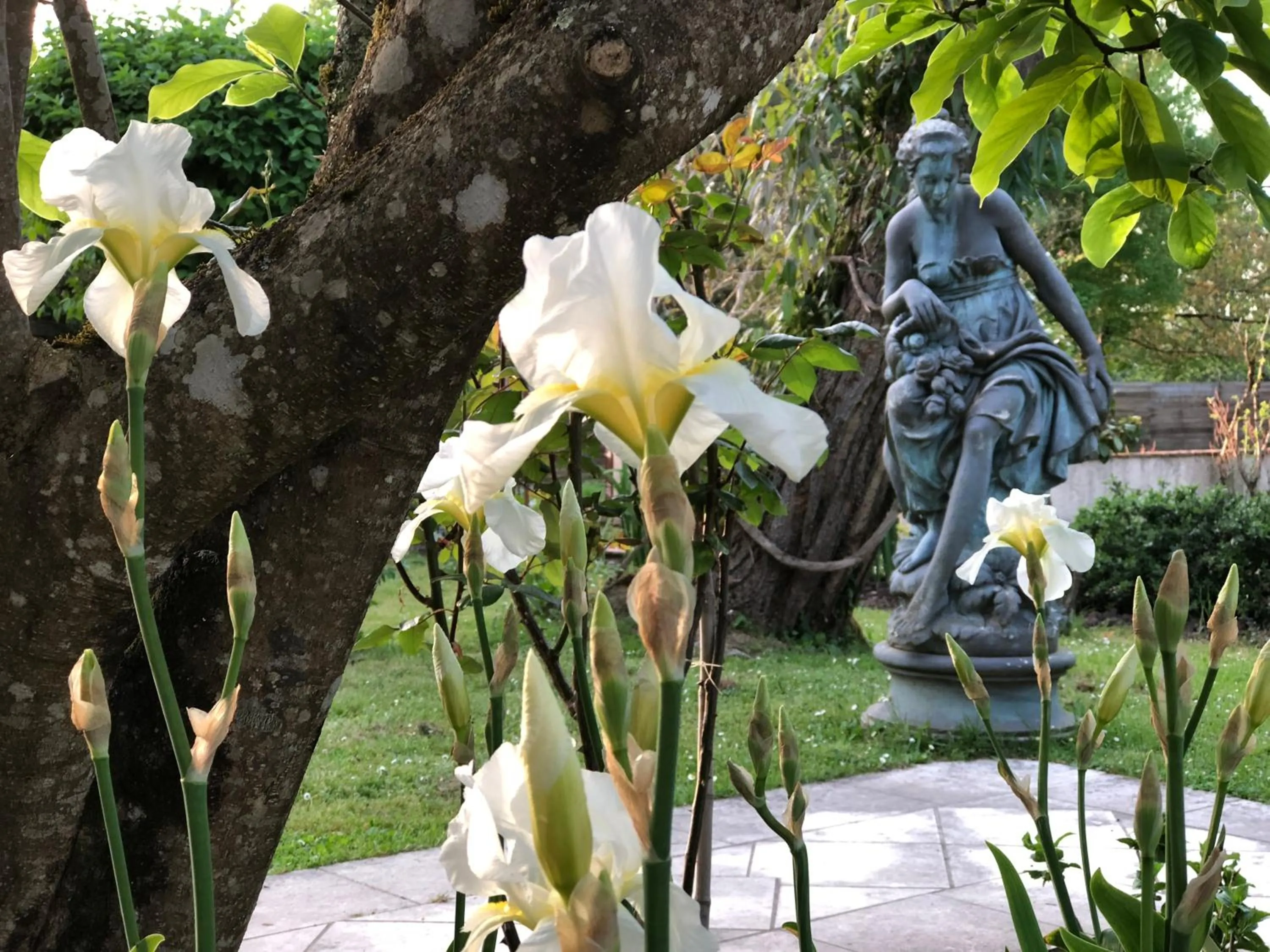 Garden in Domaine des Monges