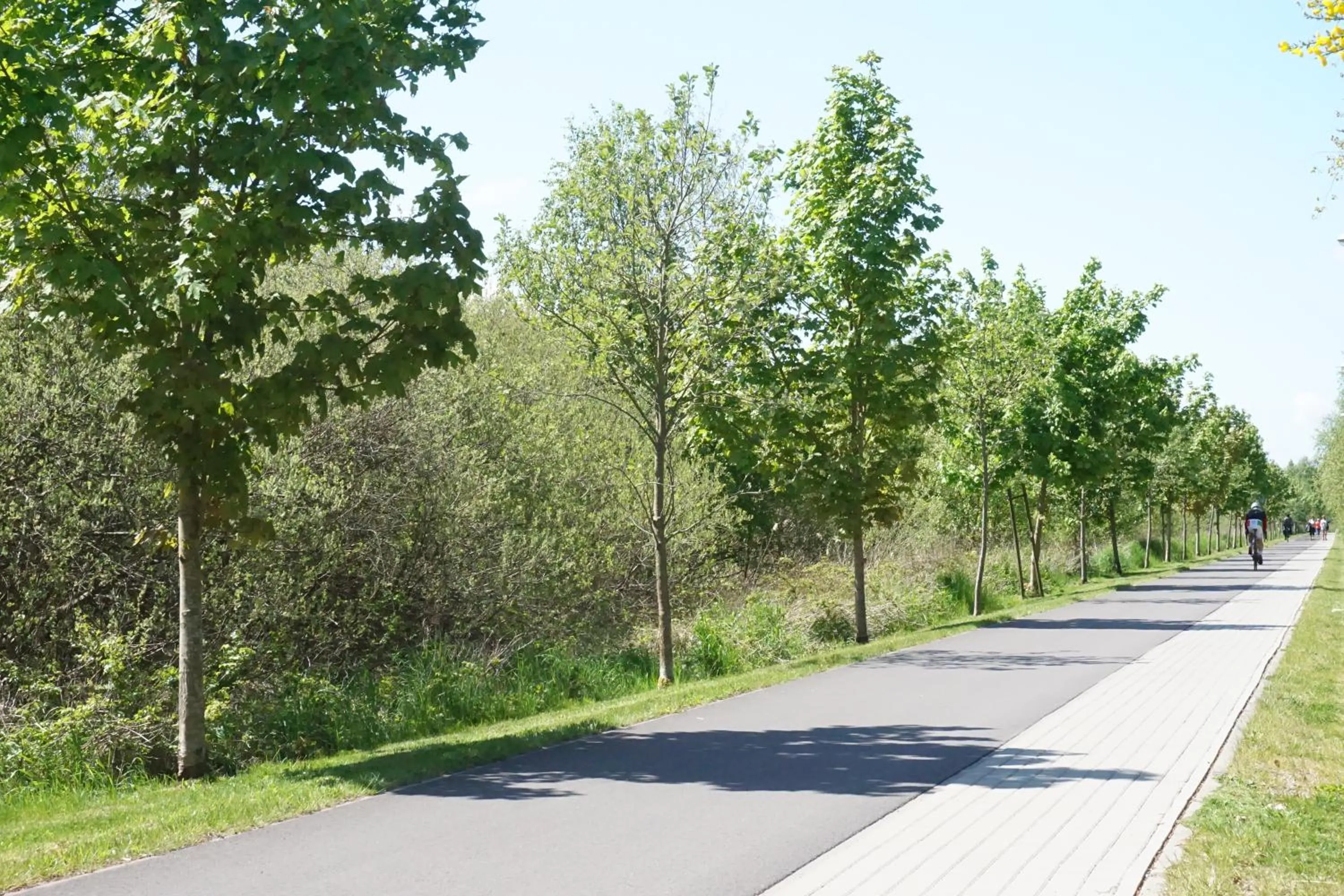 Neighbourhood in Baltic Plaza Hotel Medi Spa