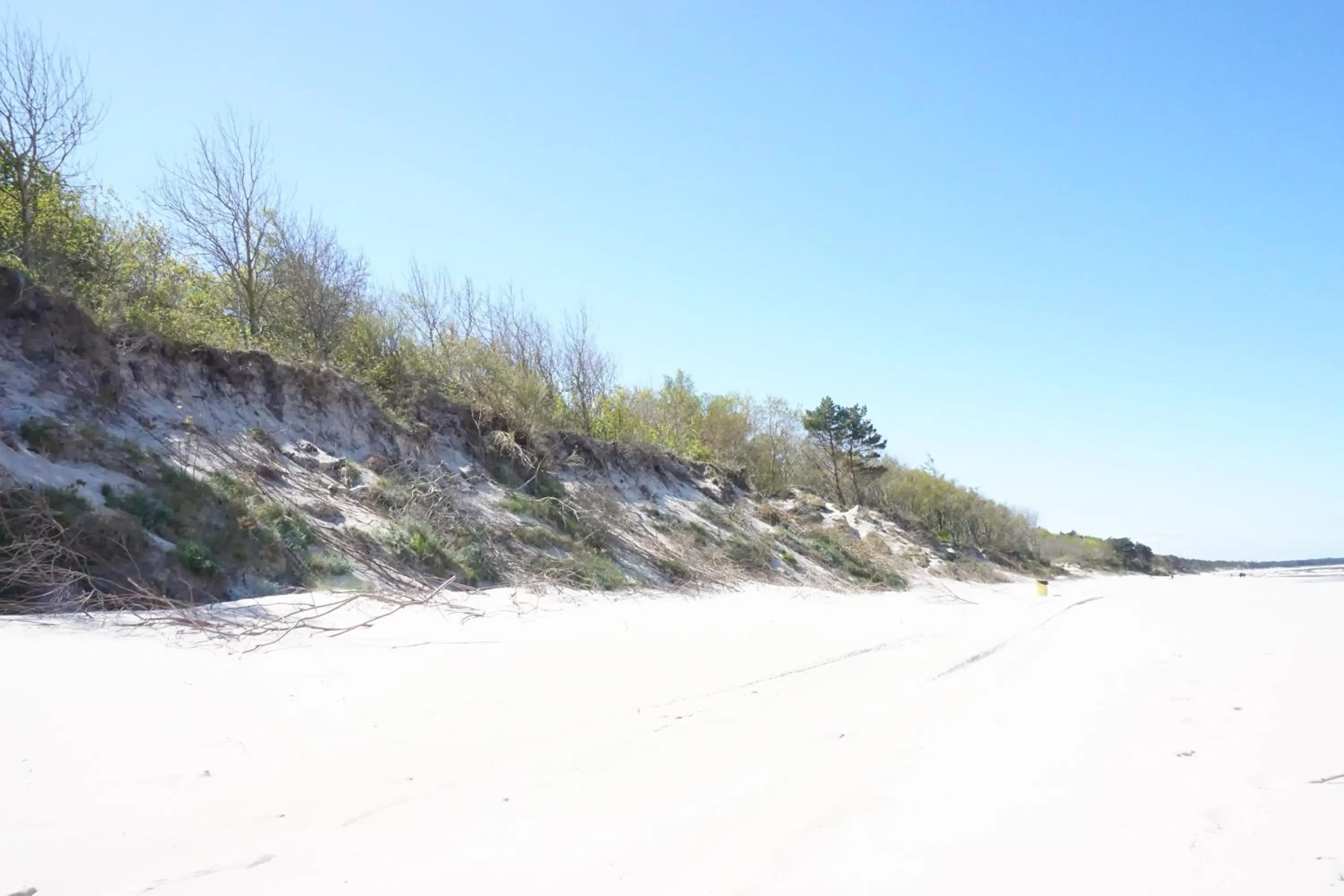 Natural landscape in Baltic Plaza Hotel Medi Spa