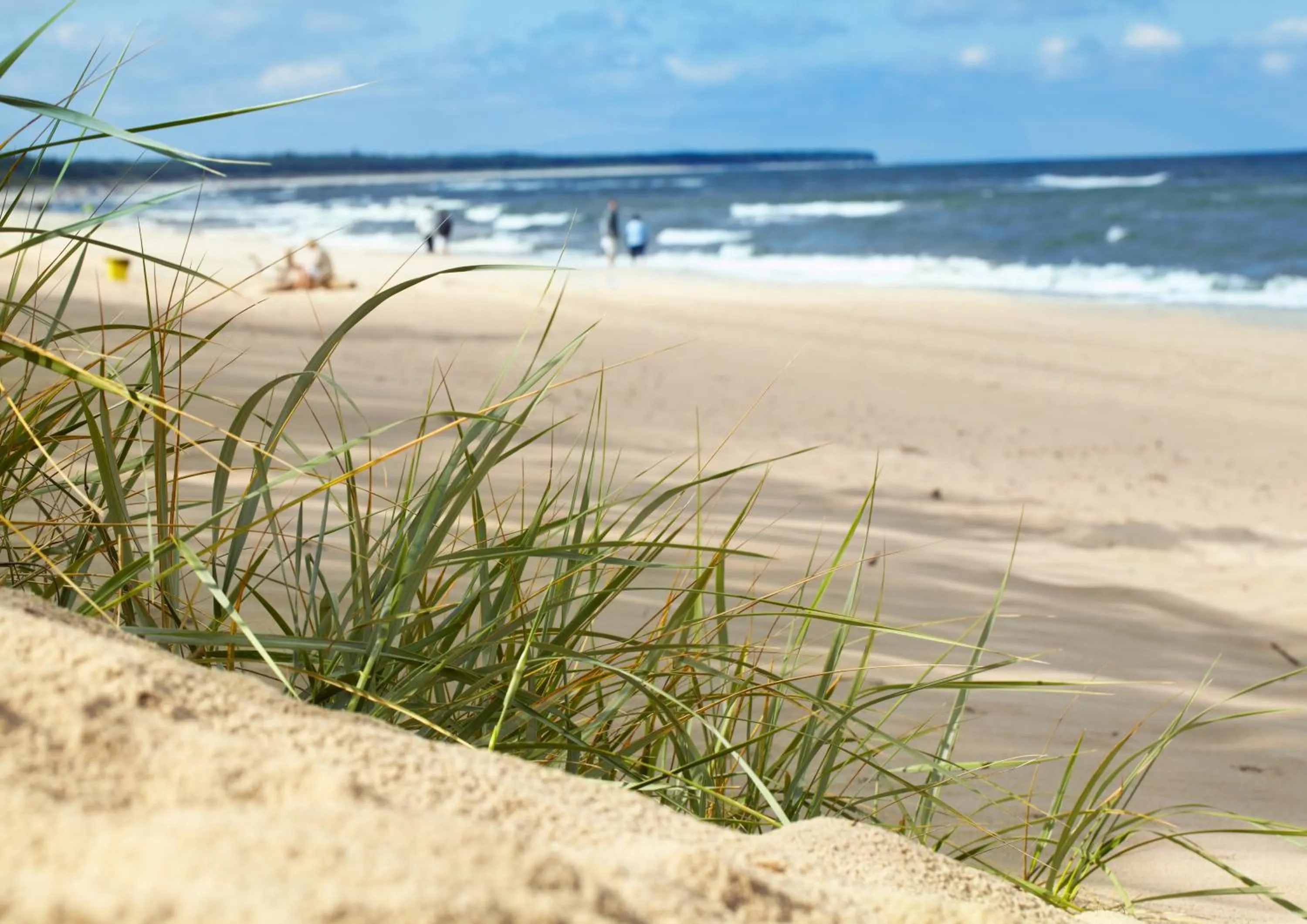 Natural landscape in Baltic Plaza Hotel Medi Spa
