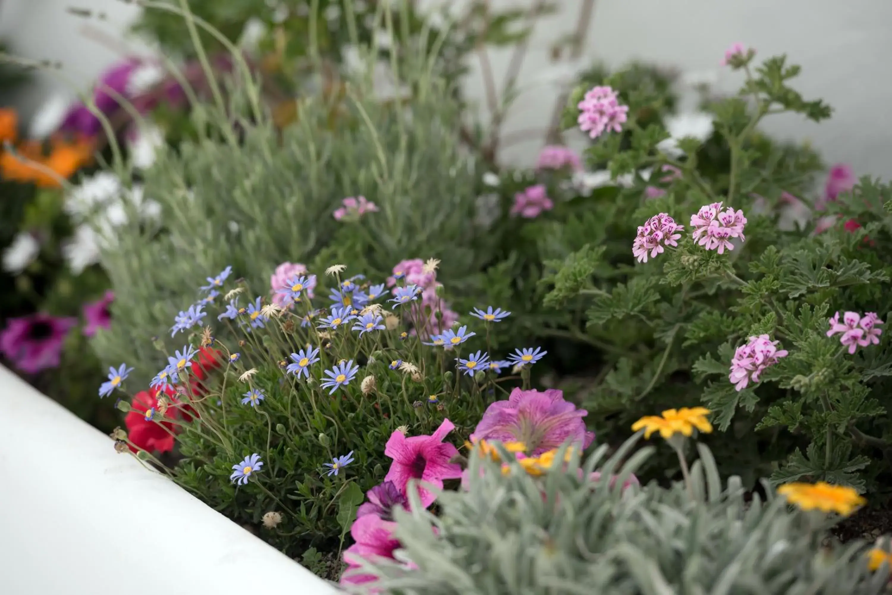 Day in Aris Caves Day in Aris Caves