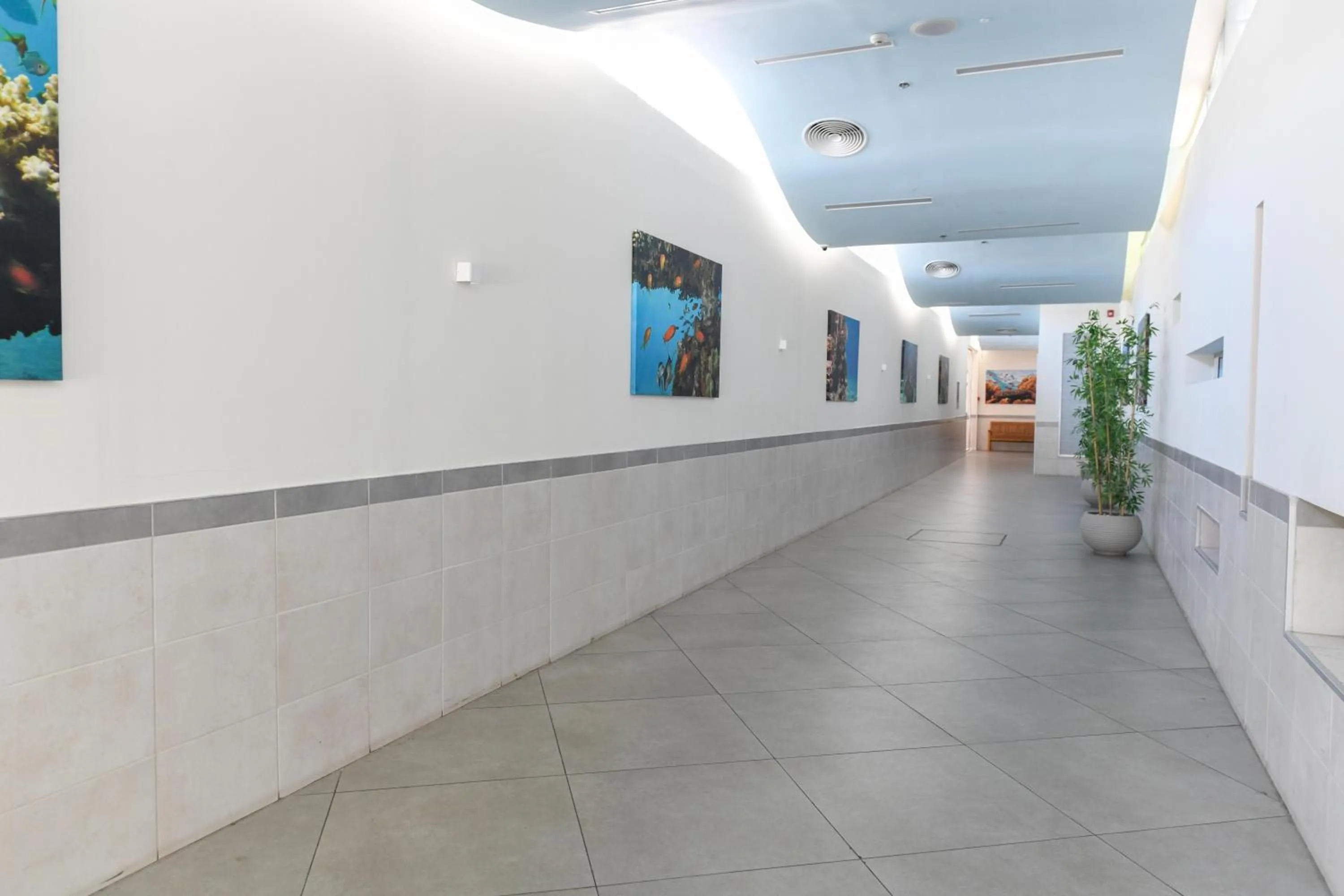 Property building in HI - Eilat Hostel