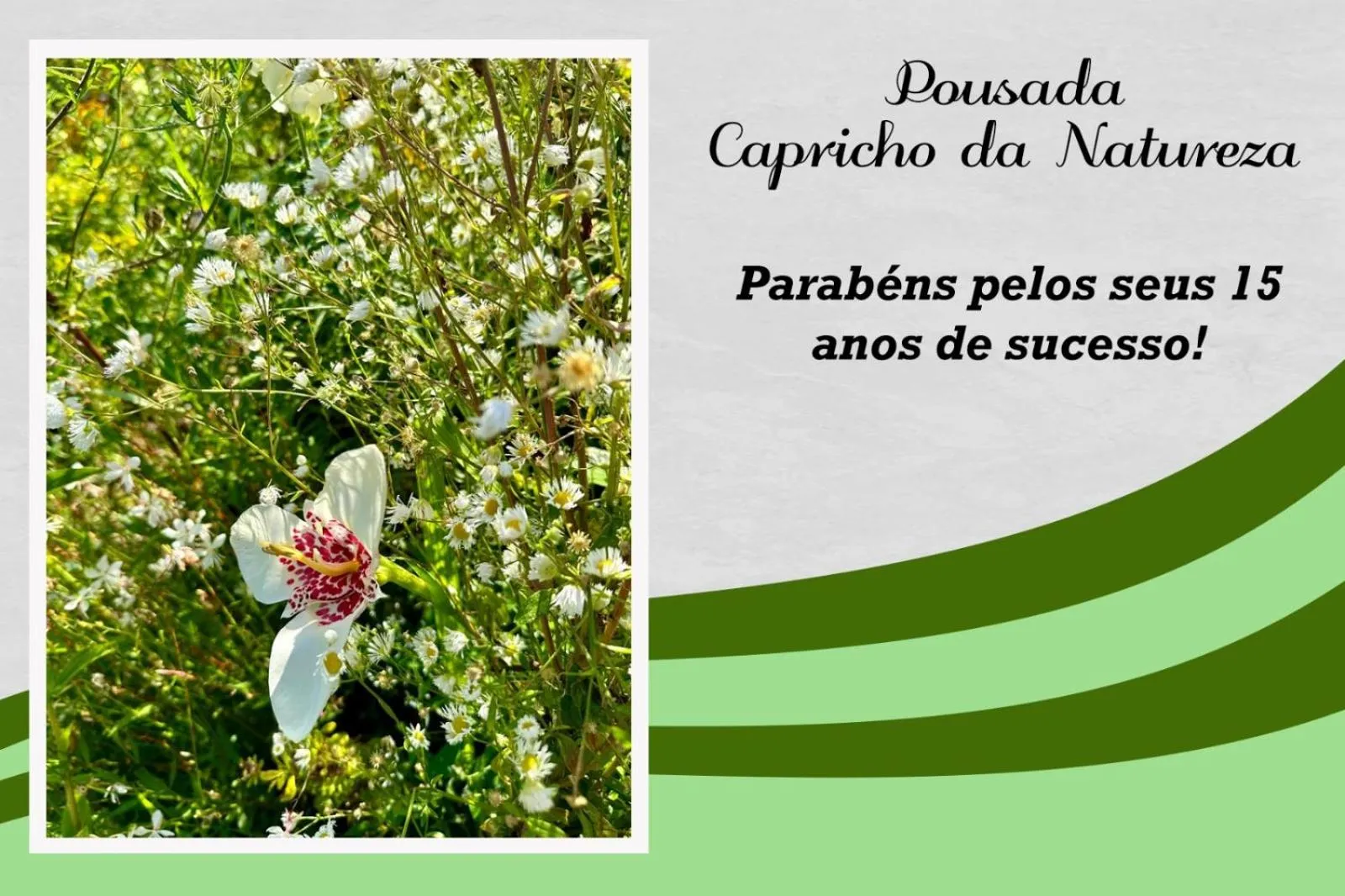 Text overlay in Capricho da Natureza Pousada