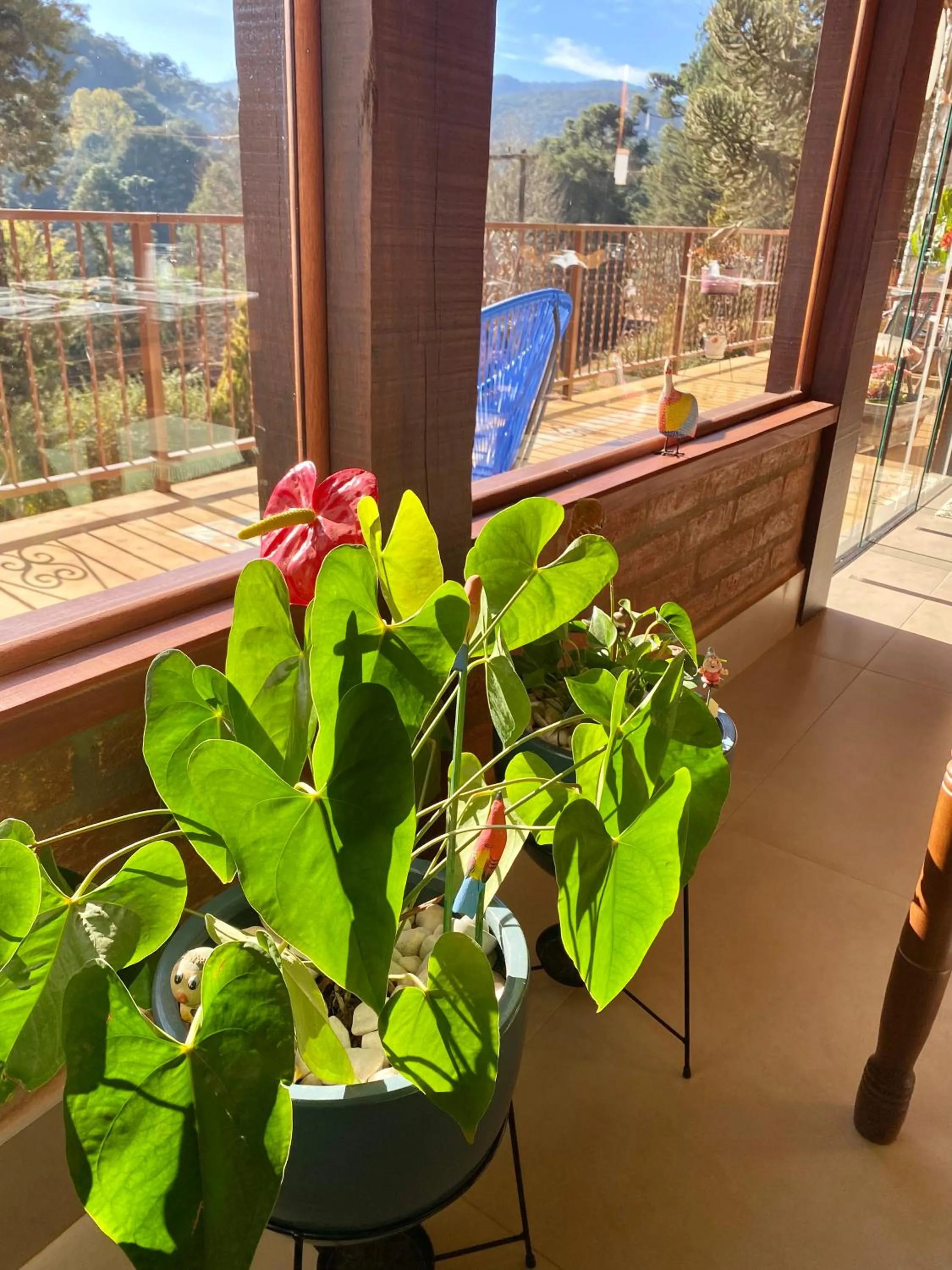 Balcony/Terrace in Capricho da Natureza Pousada