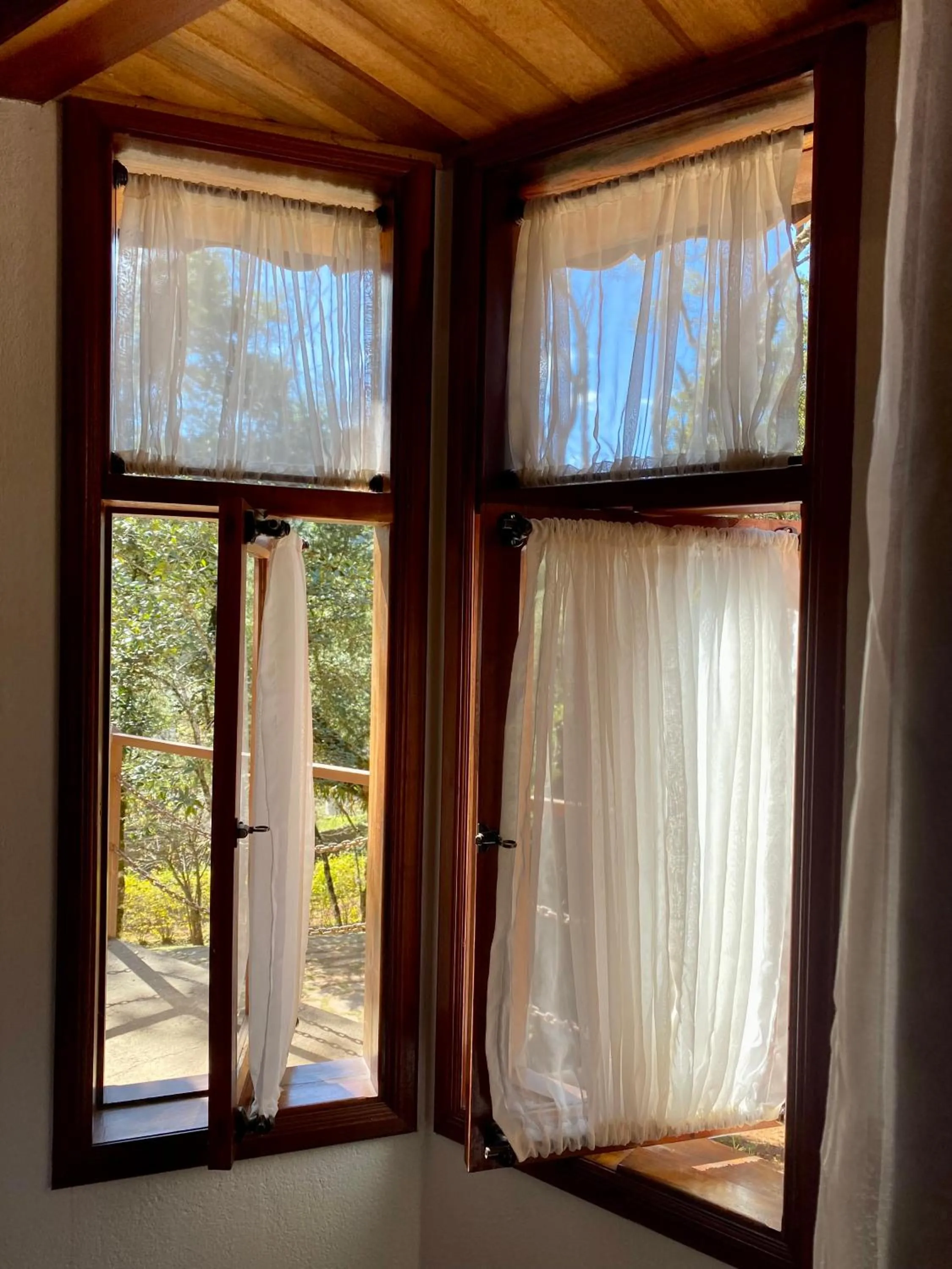 Garden view in Capricho da Natureza Pousada