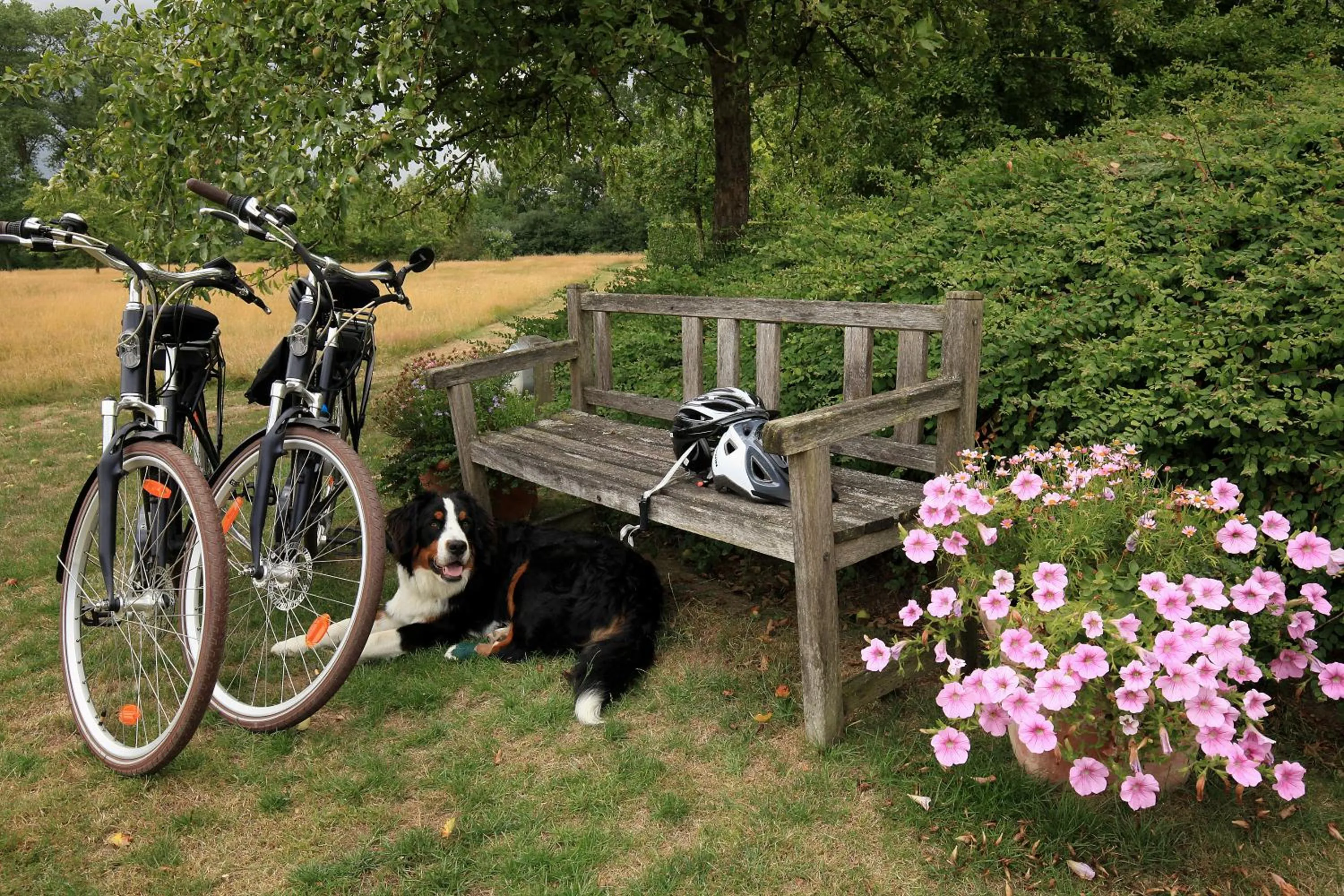 People in La Petite Bruyere De Renaix
