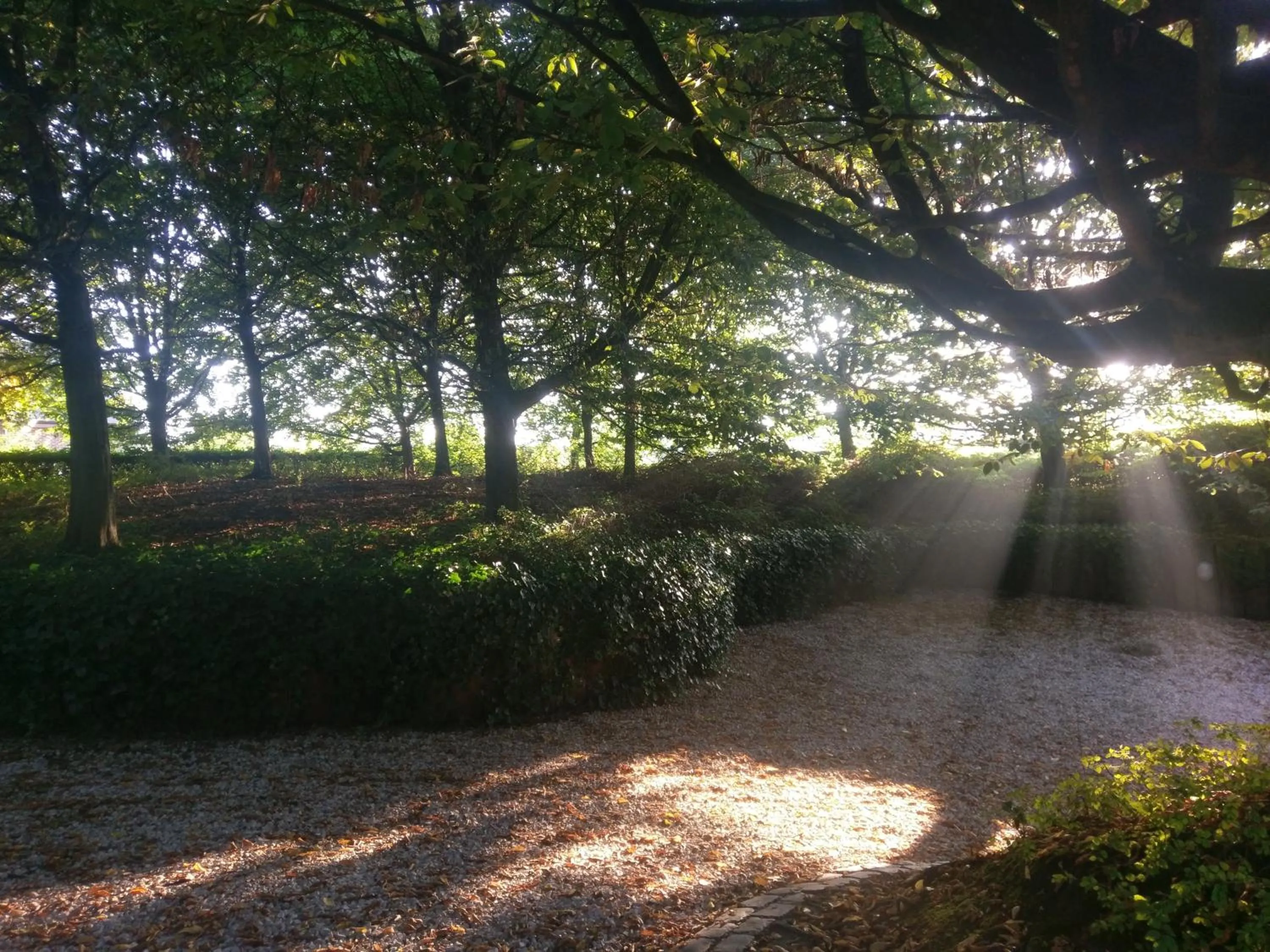 Parking in La Petite Bruyere De Renaix