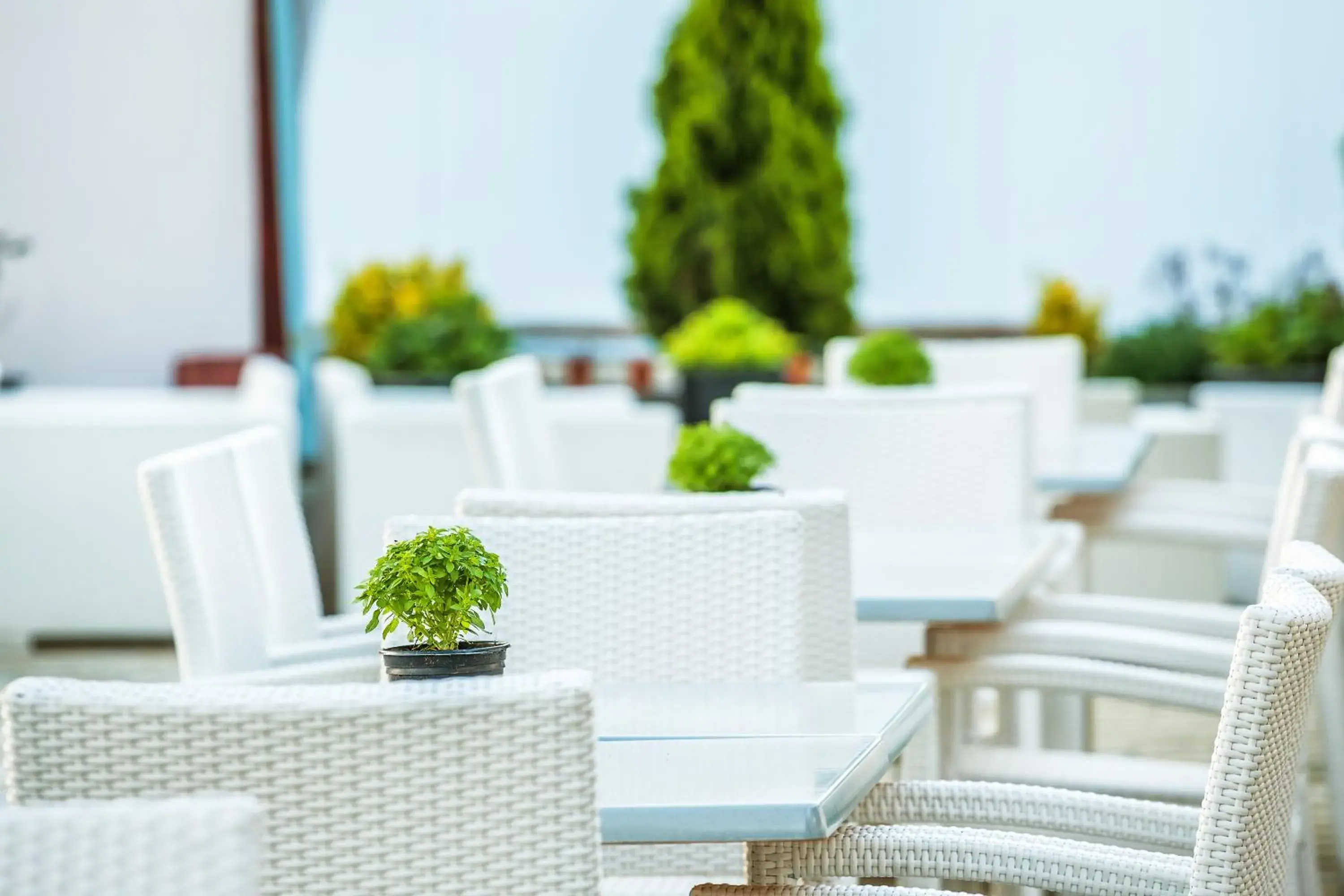 Restaurant/places to eat in Troodos Hotel & Spa Restaurant/places to eat in Troodos Hotel & Spa