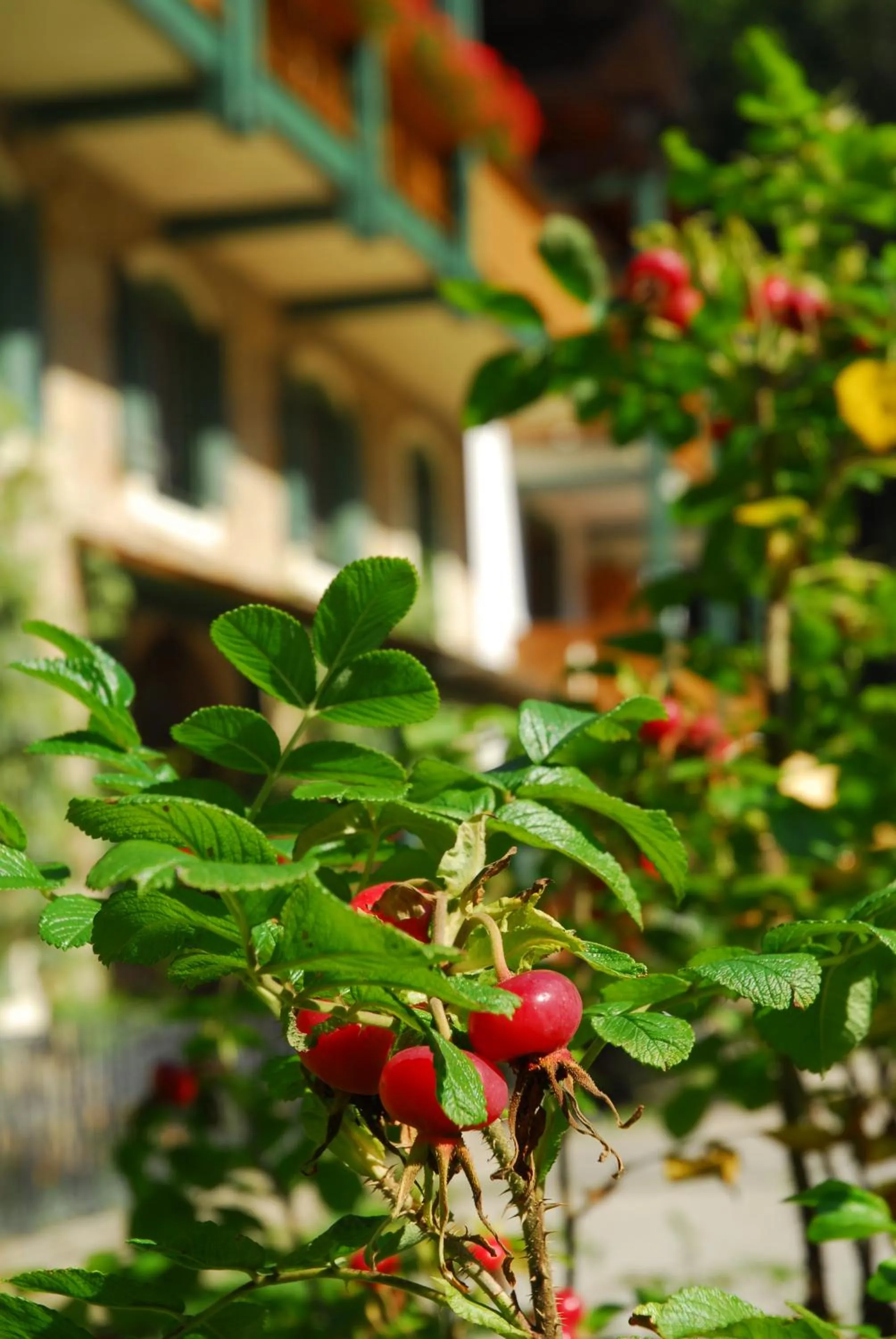 Facade/entrance in Naturidyll Hotel Hammerschmiede