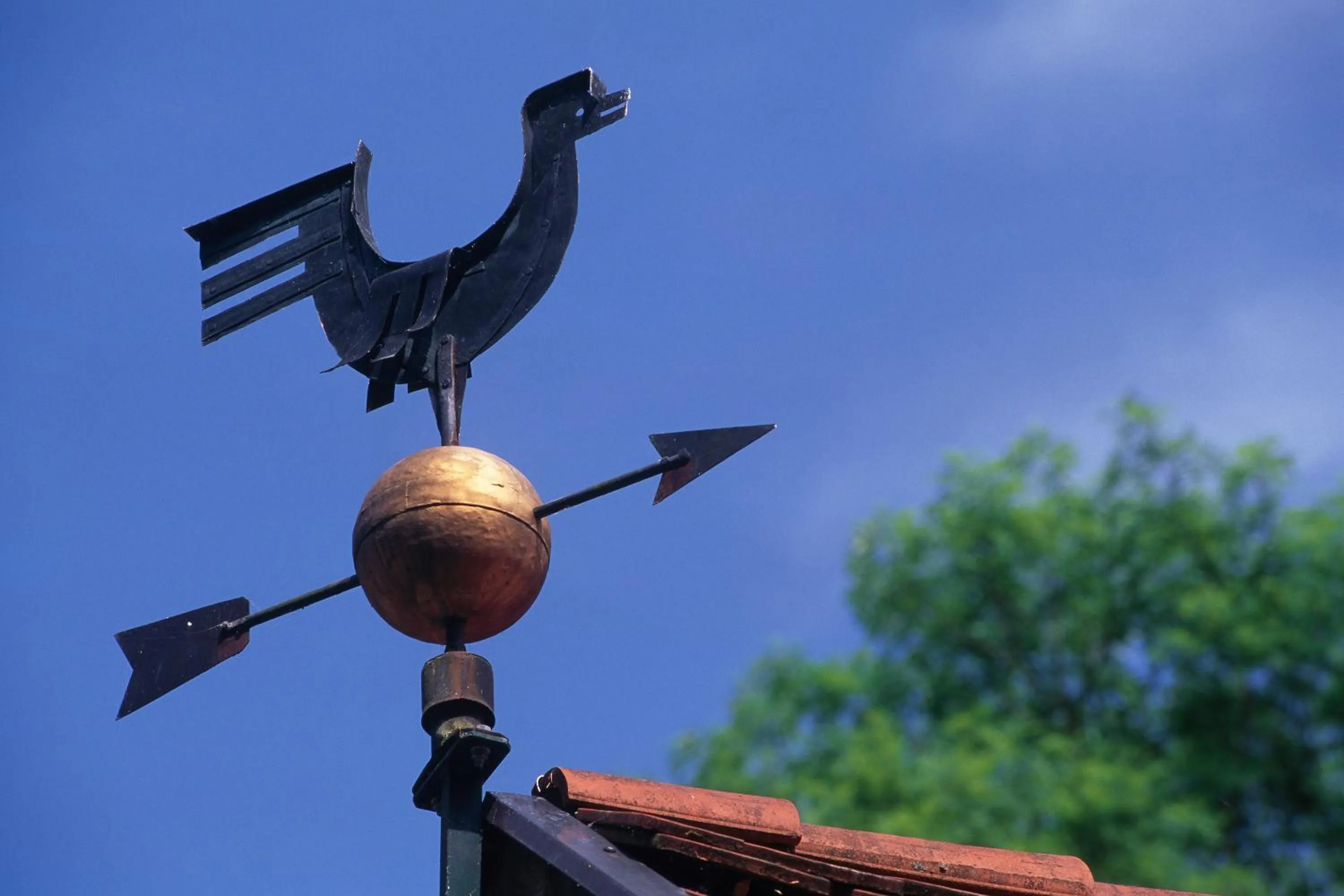 Property building in Naturidyll Hotel Hammerschmiede