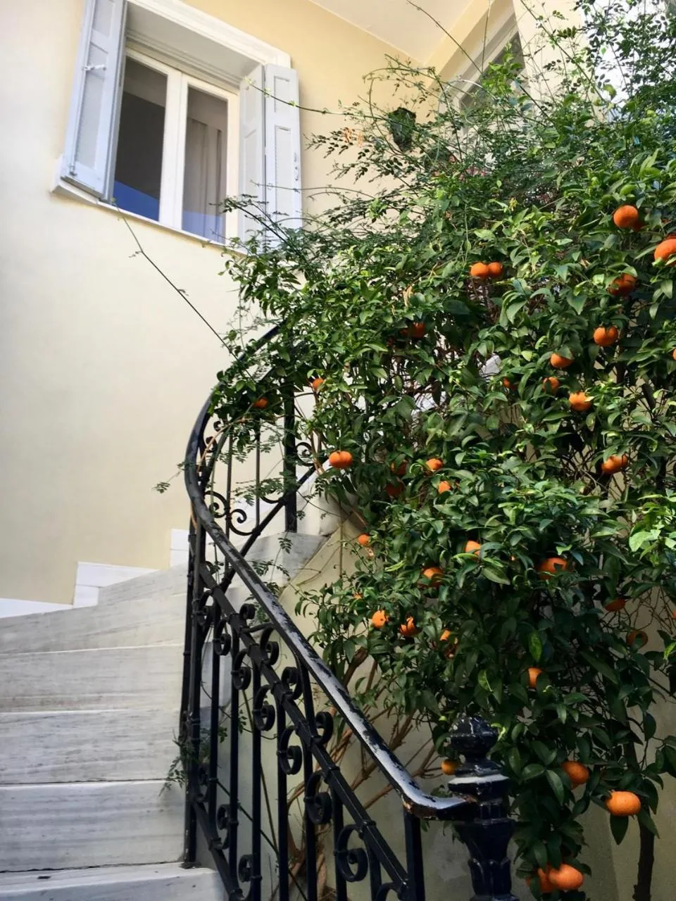 Property building in Athens Authentic Elegance at Acropolis