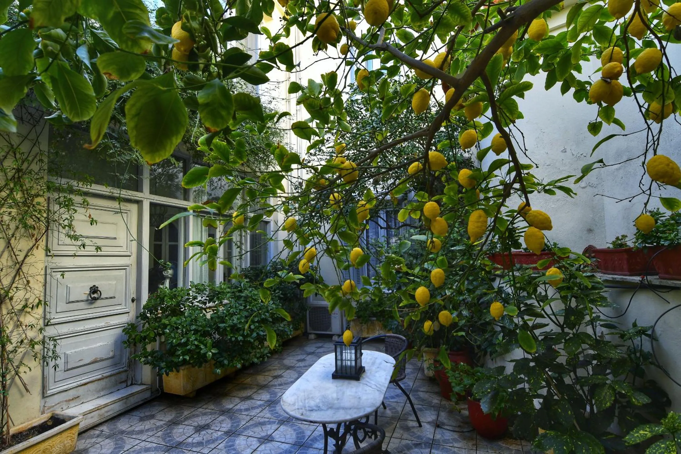Athens Authentic Elegance at Acropolis