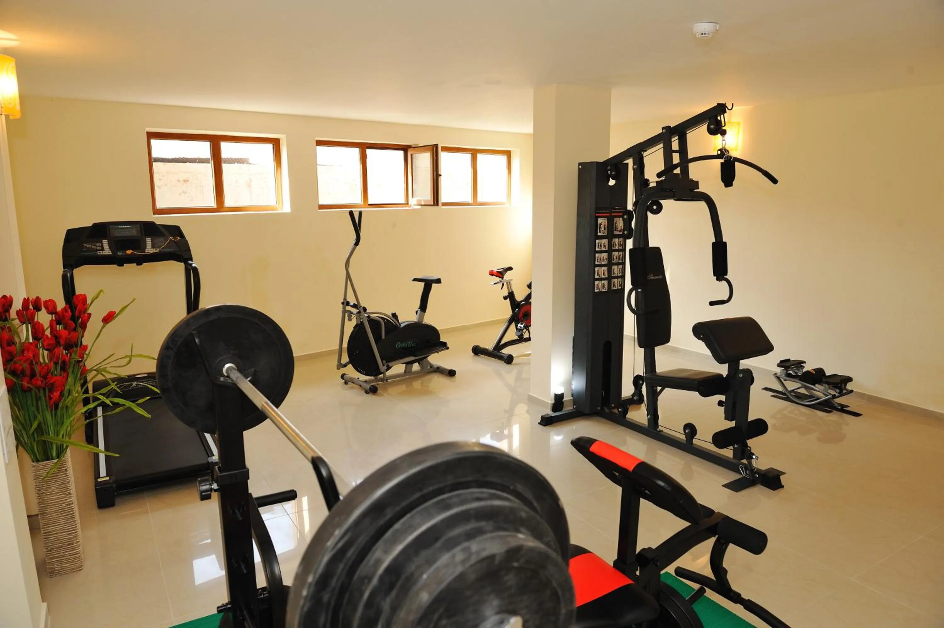 Fitness centre/facilities in Hotel Iris