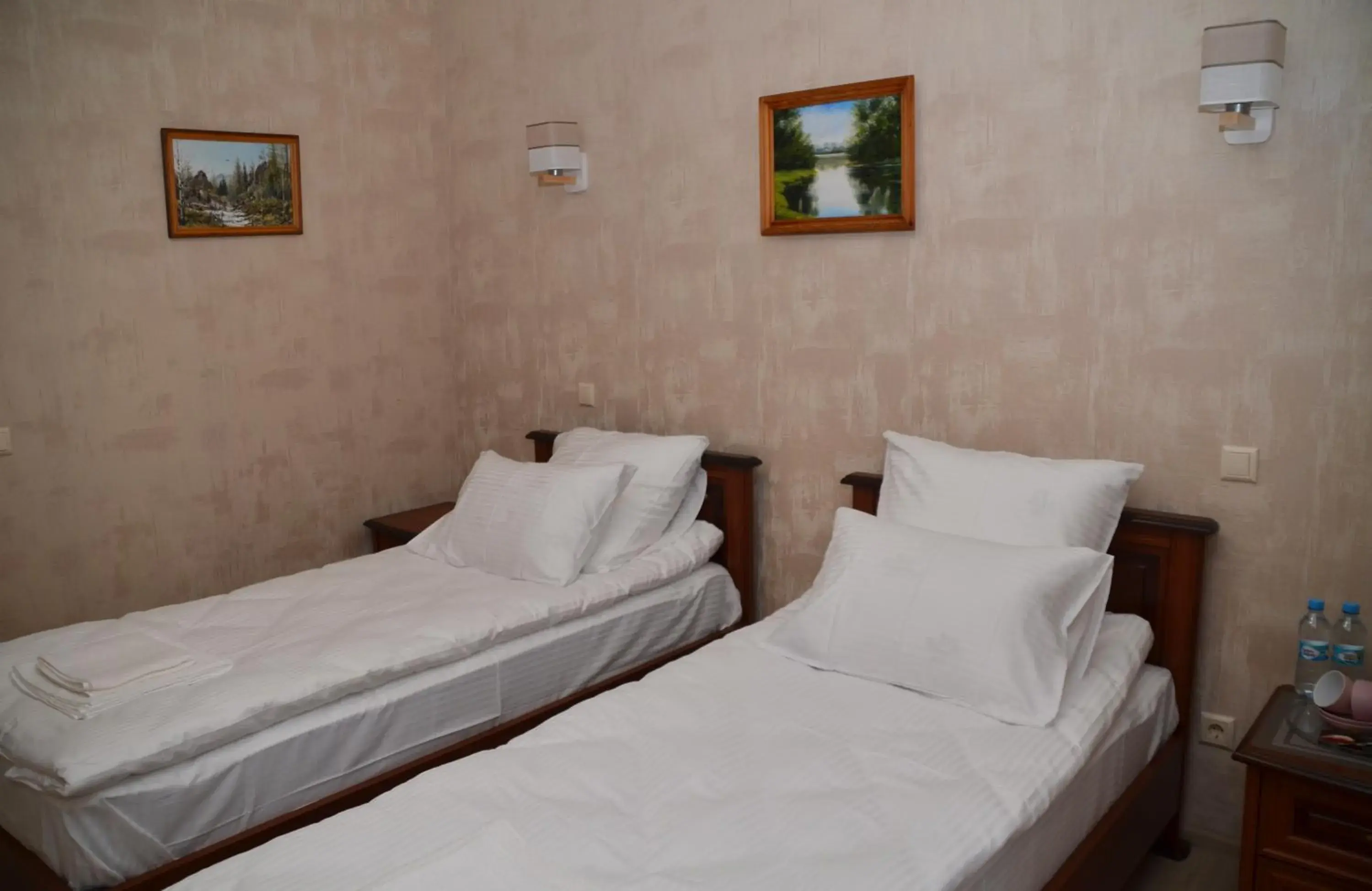 Twin Room with Bathroom - single occupancy in Centralnyi hotel Twin Room with Bathroom - single occupancy in Centralnyi hotel
