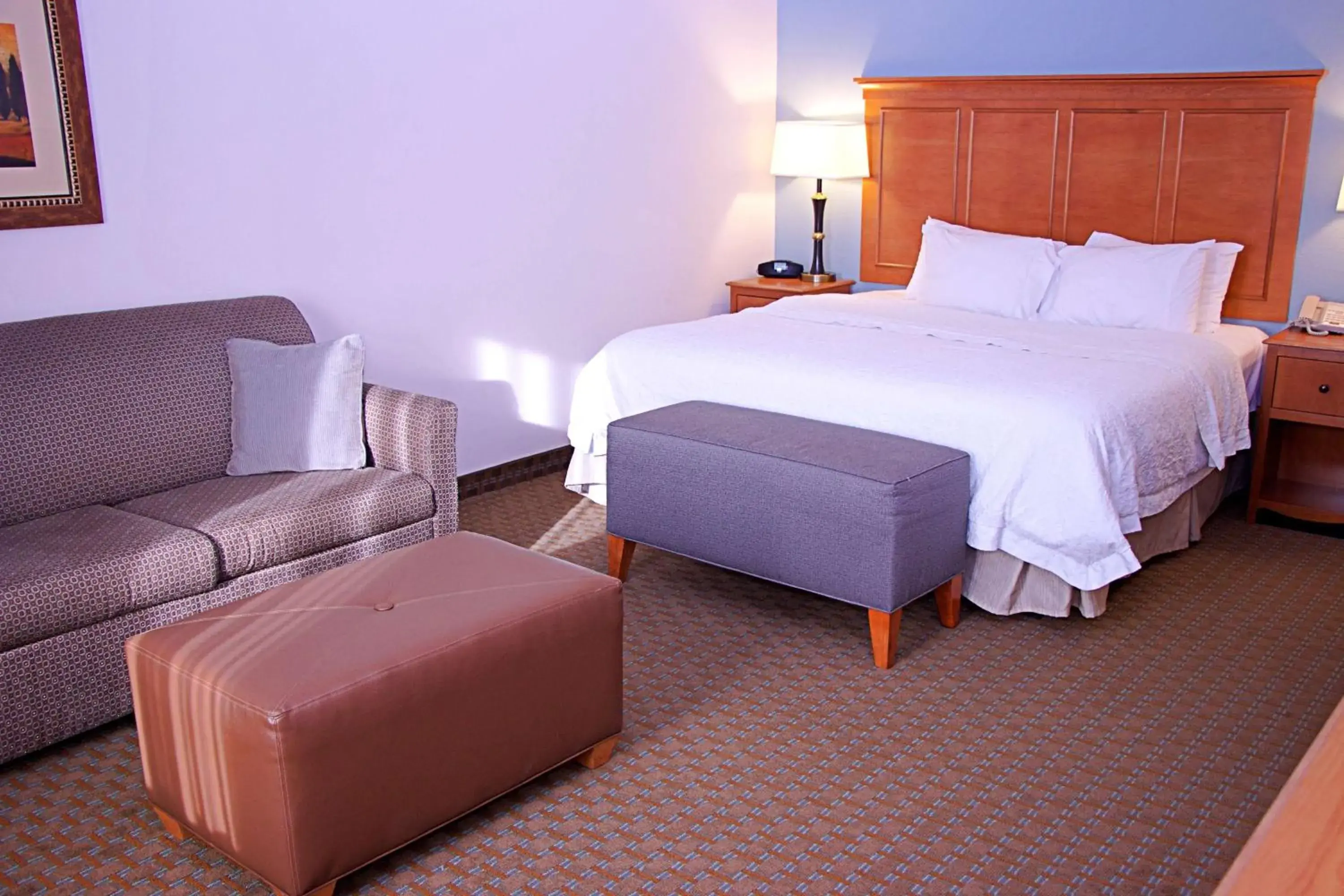 Living room, Bed in Hampton Inn Sidney Living room, Bed in Hampton Inn Sidney