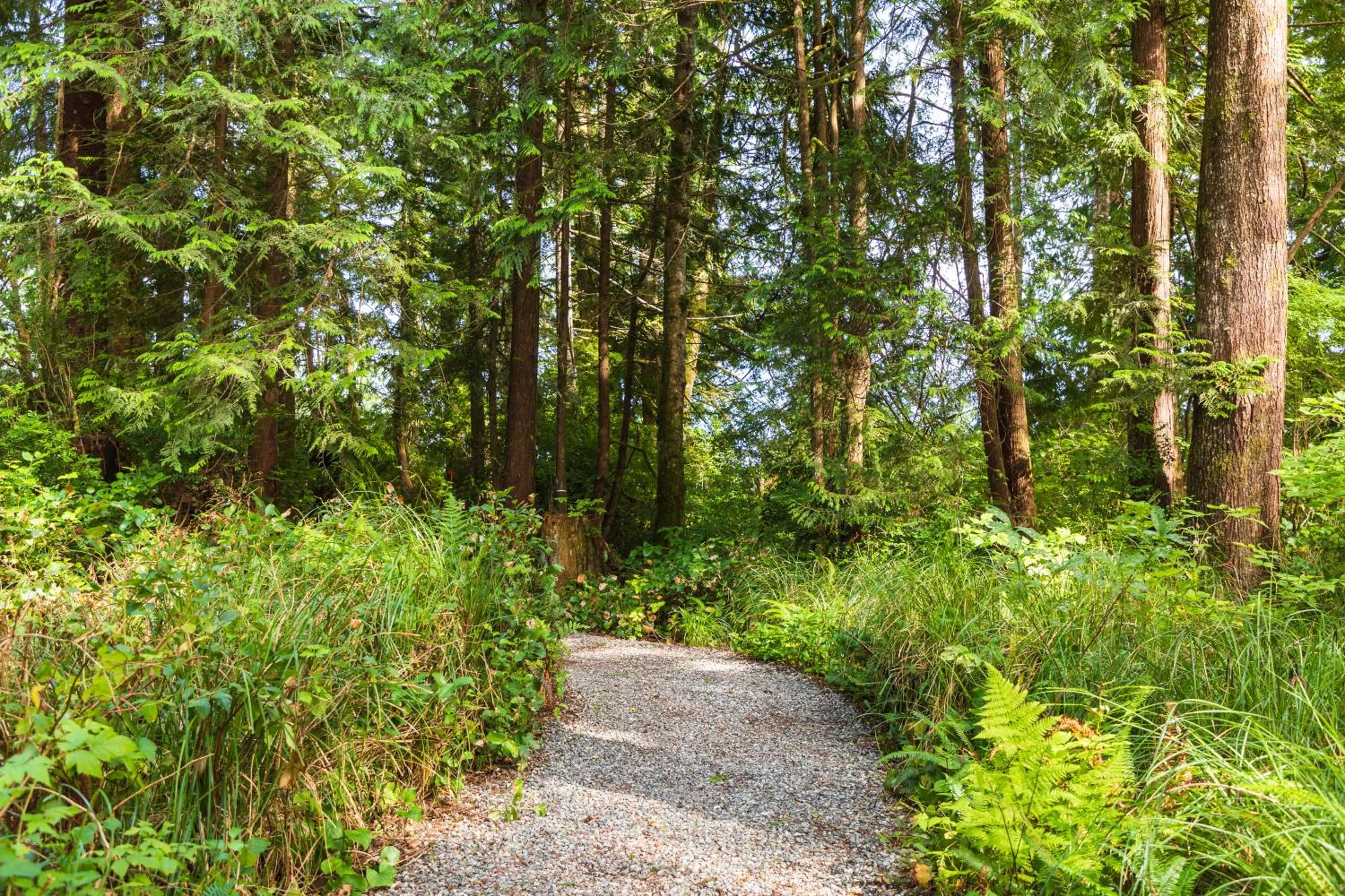 Hiking in Hotel Zed Tofino