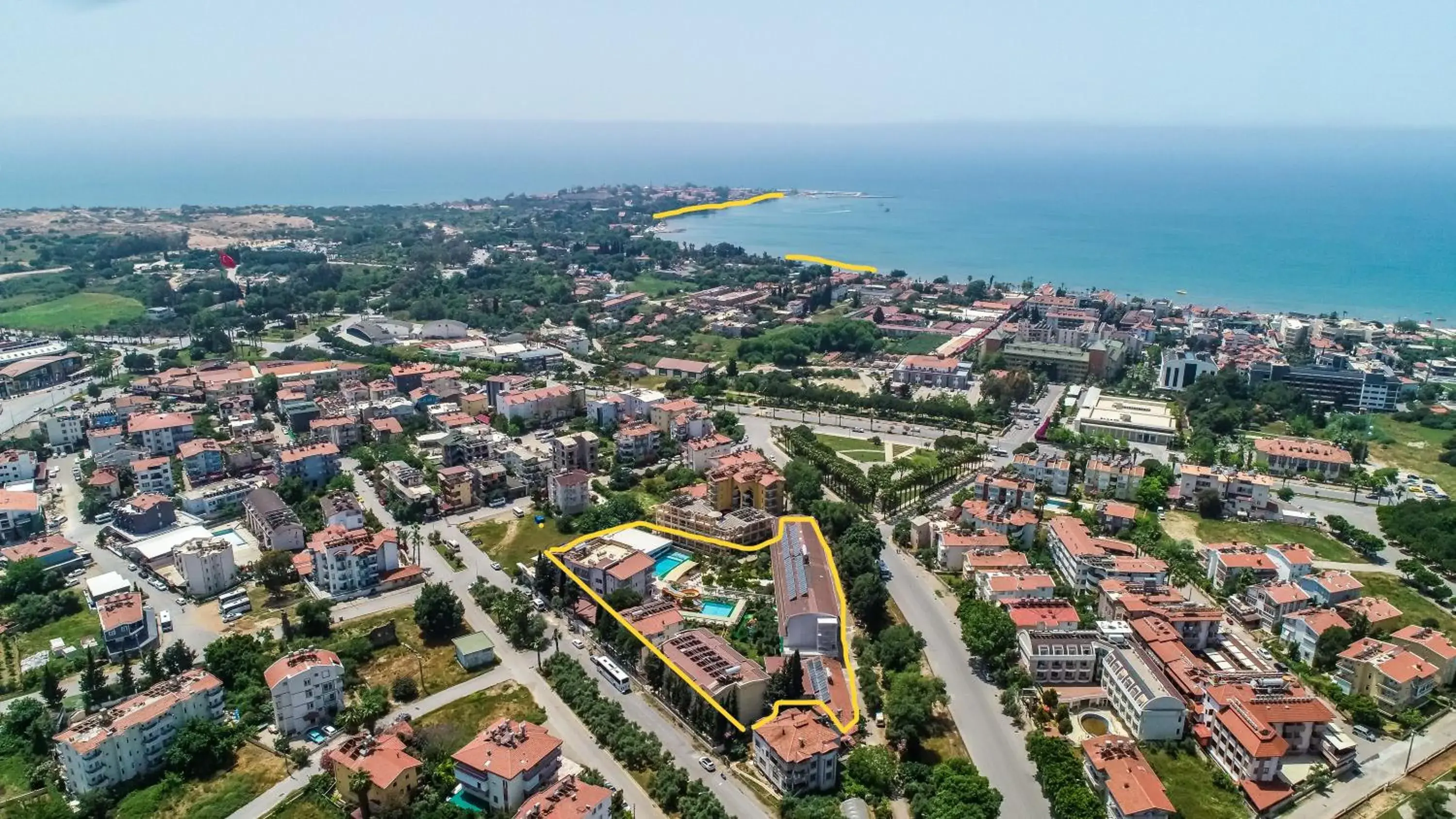 Catty Cats Garden Hotel Catty Cats Garden Hotel