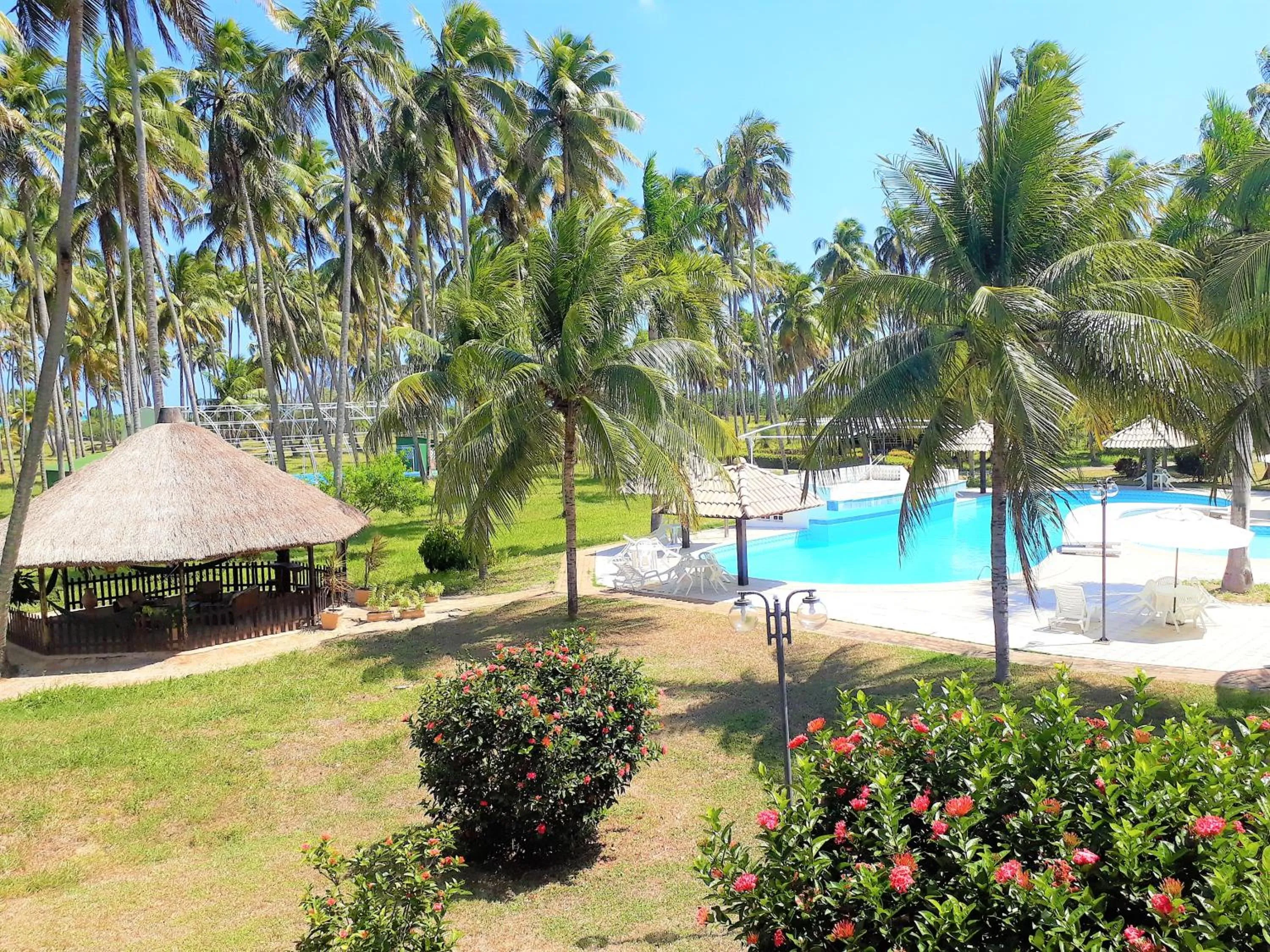 Pool view in Hotel D'Anatureza