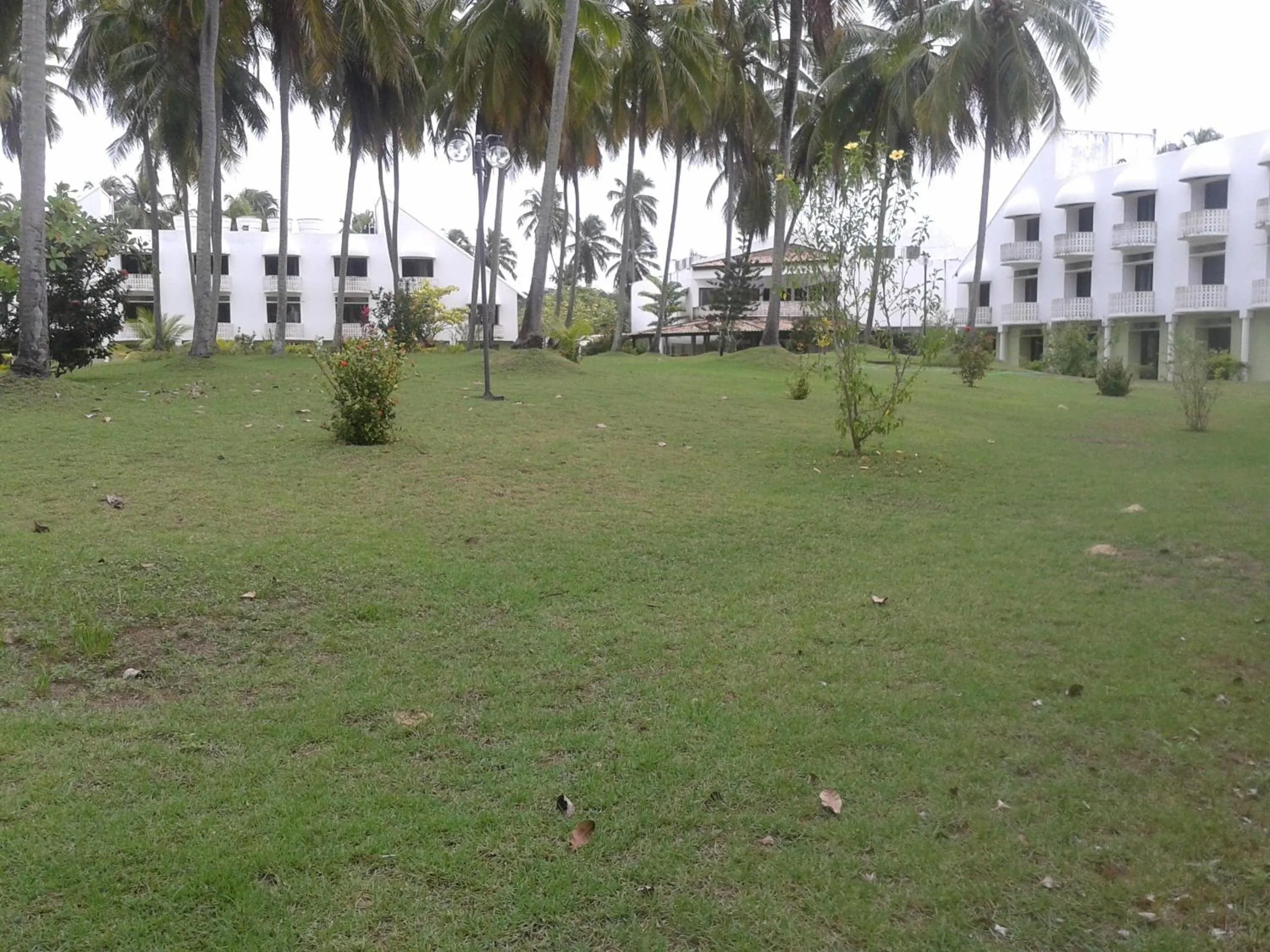 Decorative detail in Hotel D'Anatureza