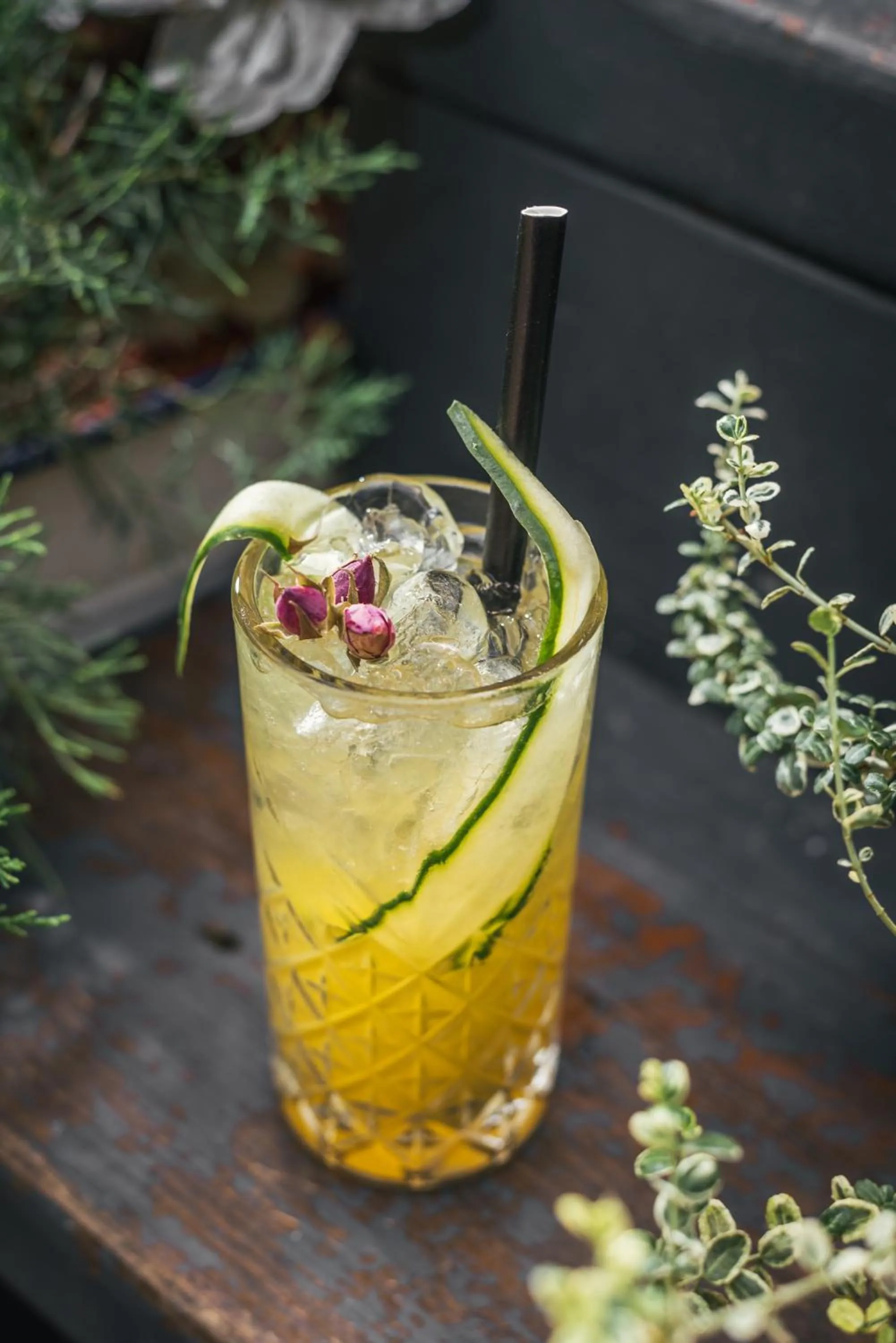 Drinks in Stay Swanky Bed & Breakfast