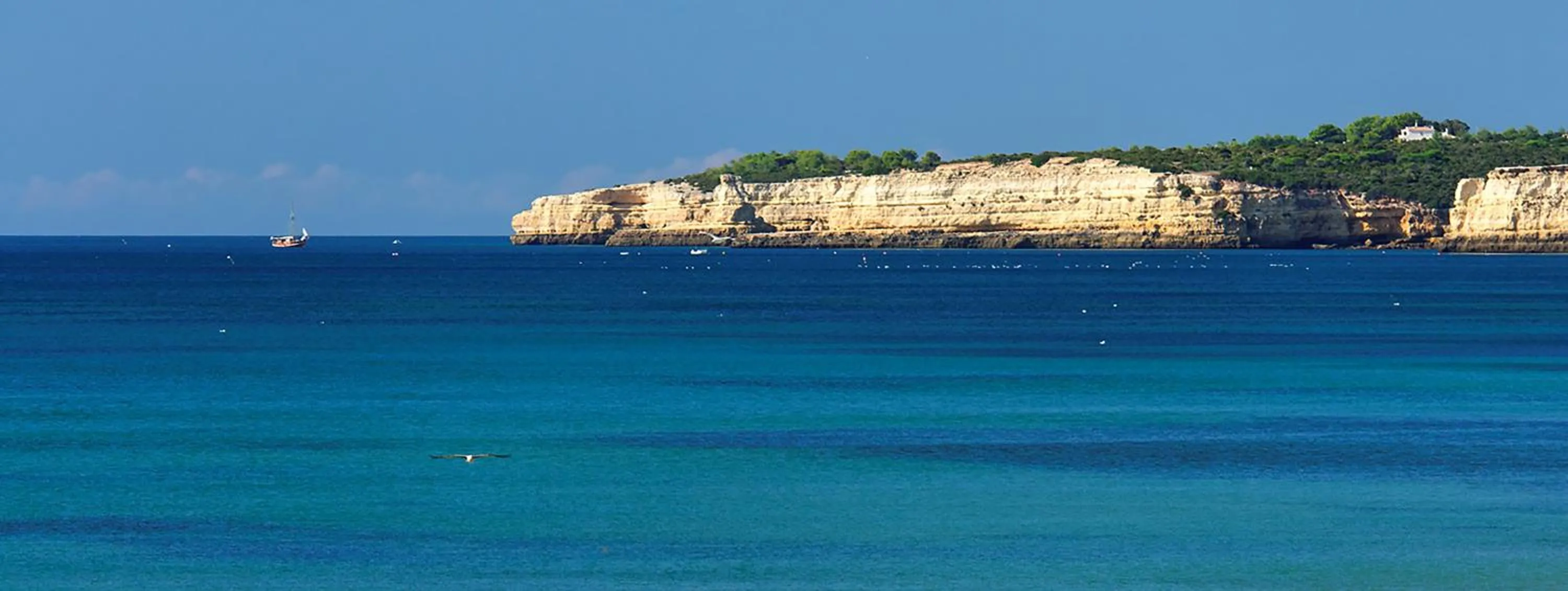 Natural landscape in Rosamar Apartamentos