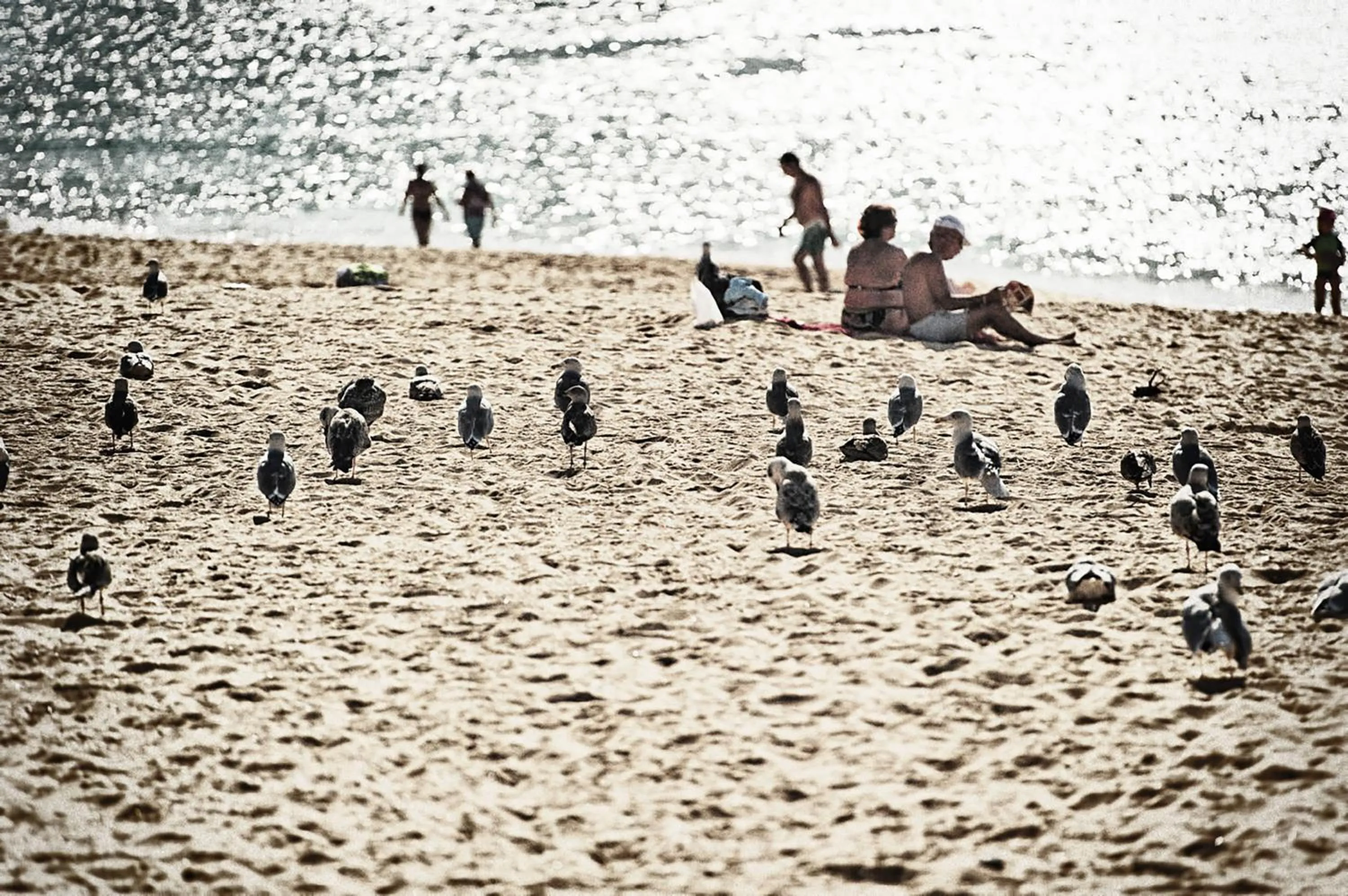 Beach in Rosamar Apartamentos