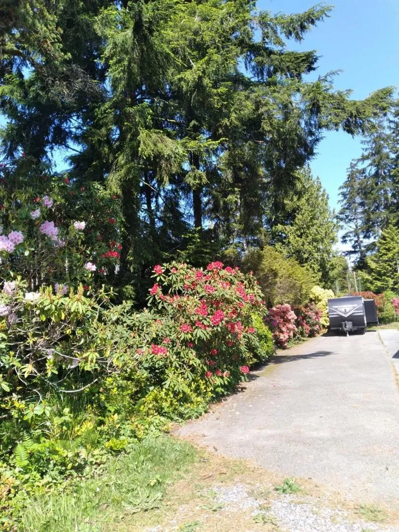 Garden view in Dolphin Motel