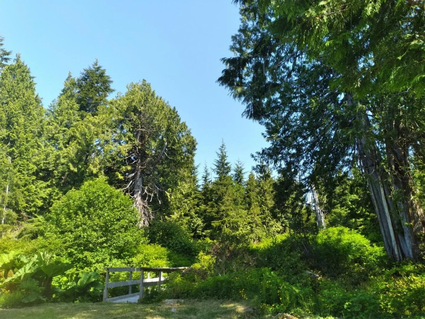 Natural landscape in Dolphin Motel